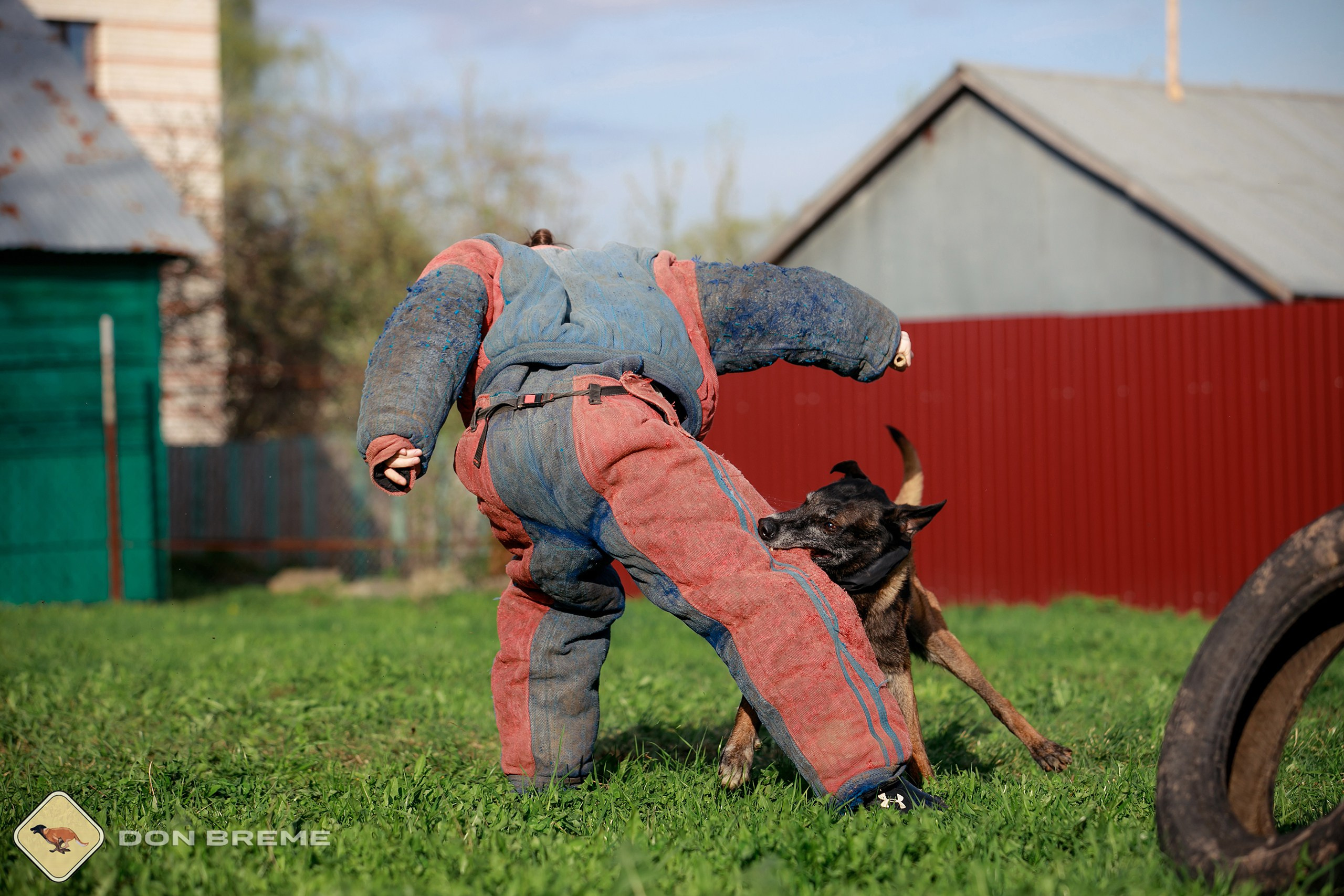 Семинар для фигурантов, день 2. Фотограф-анималист Mary Mart — Москва, Питер