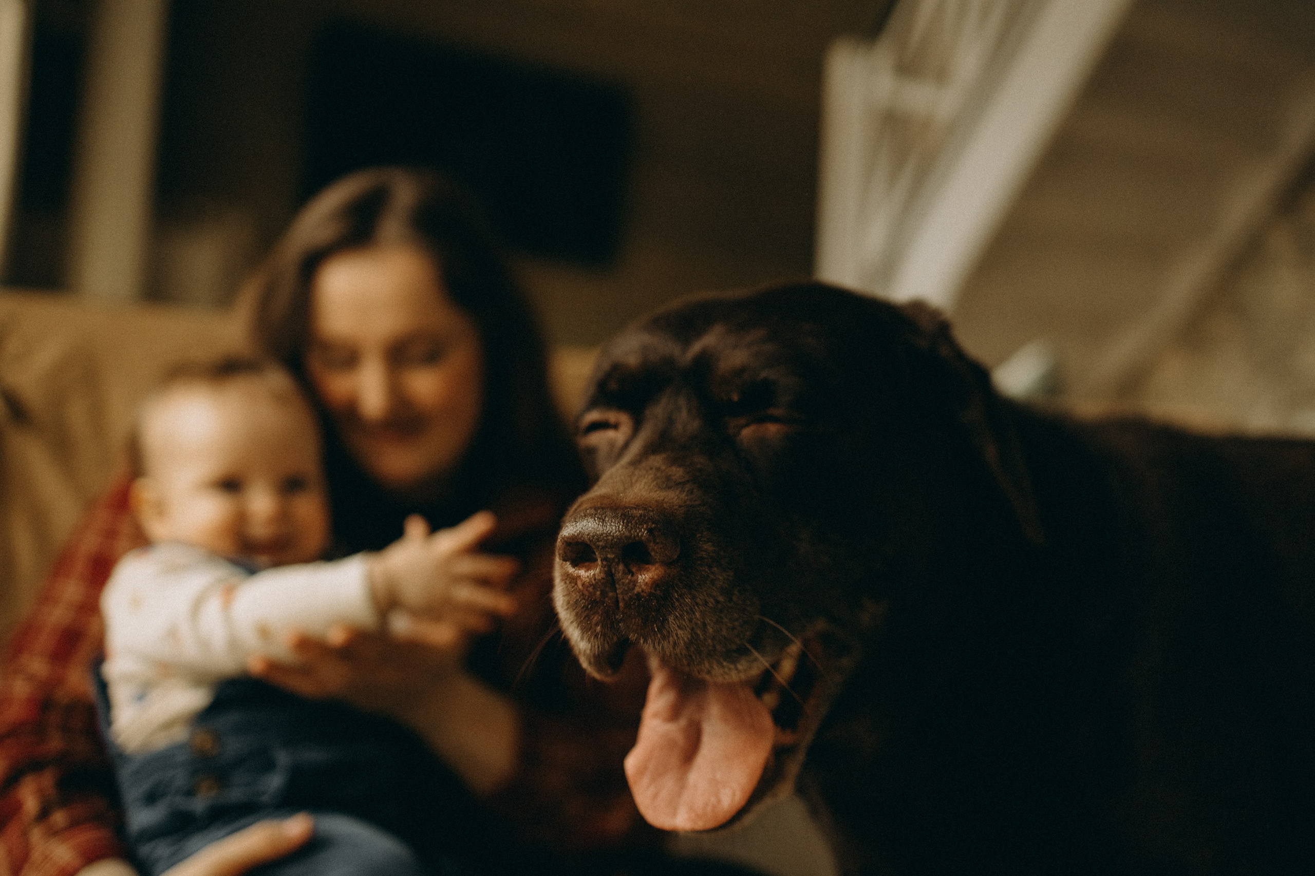 Катя, Антон, Таня, Бакс. Главная