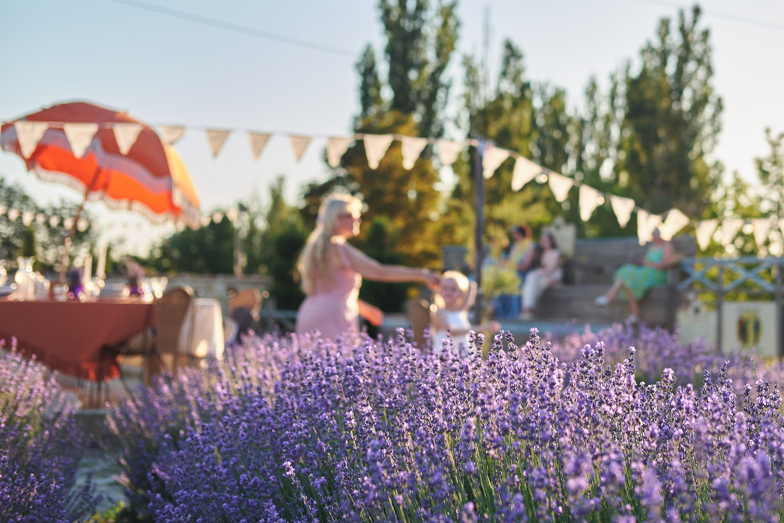 Maison Des Plantes Aromatiques. Фотограф в Анапе и Краснодаре Тина