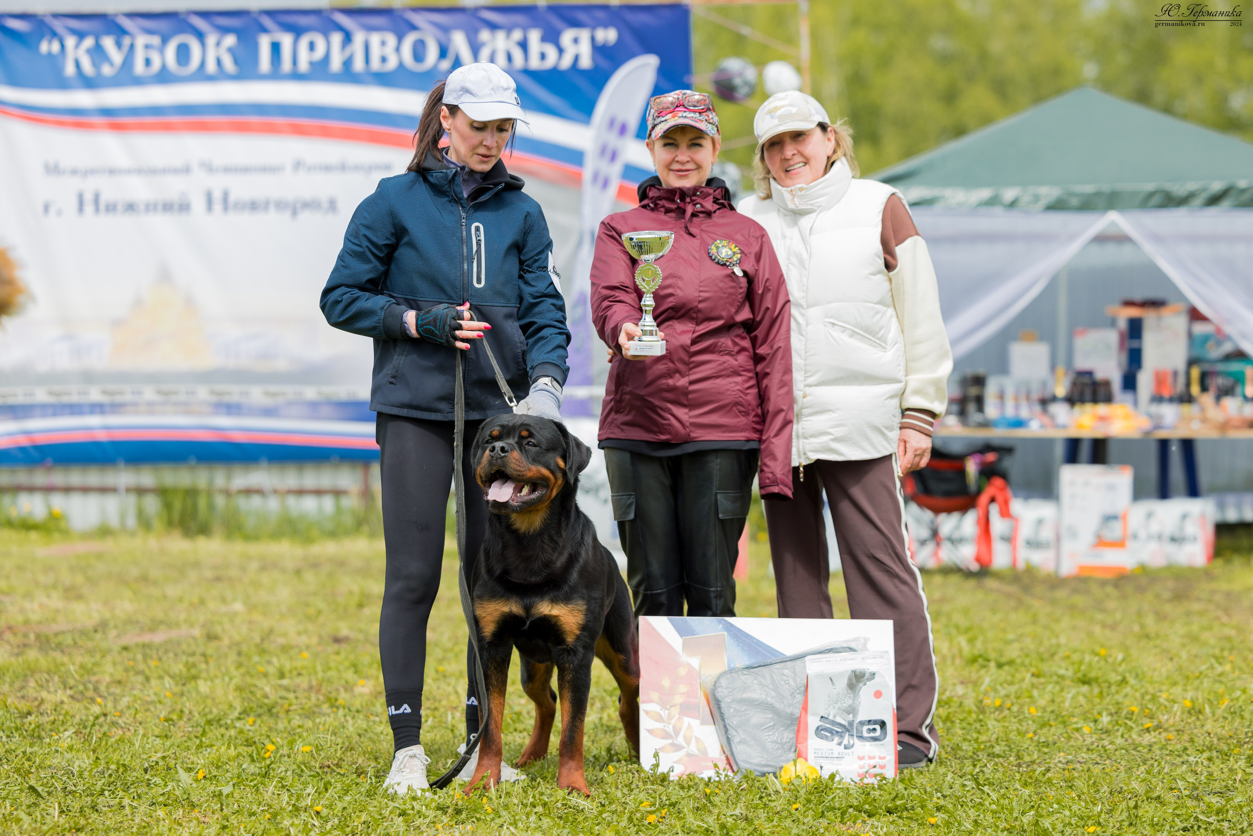 Нижний Новгород 11-12.05.2024 моно ротвейлеров. Фотограф-анималист Юлия Германика