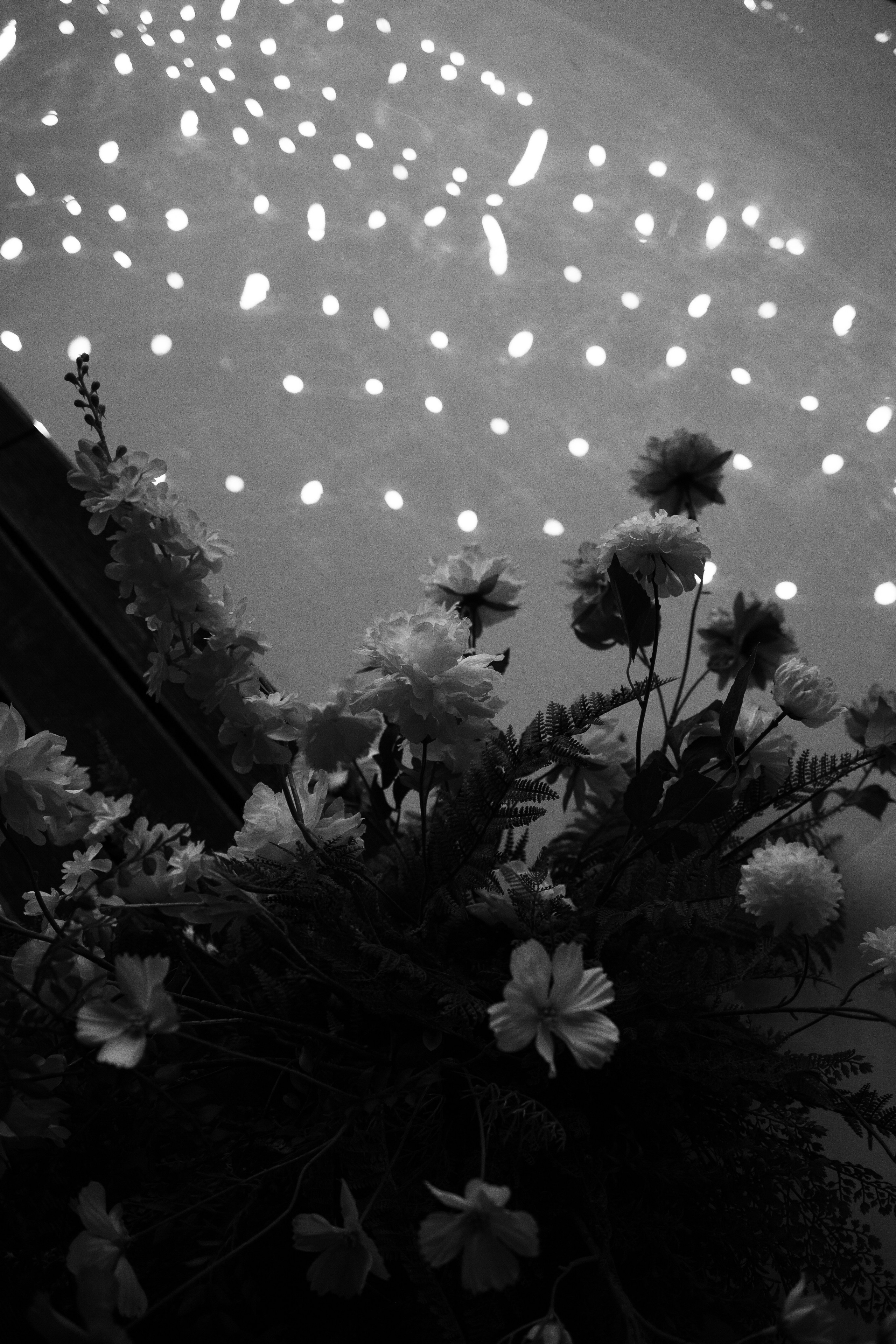 A & O. Фотограф Ольга Сапронова. Свадебный фотограф Ольга Сапронова