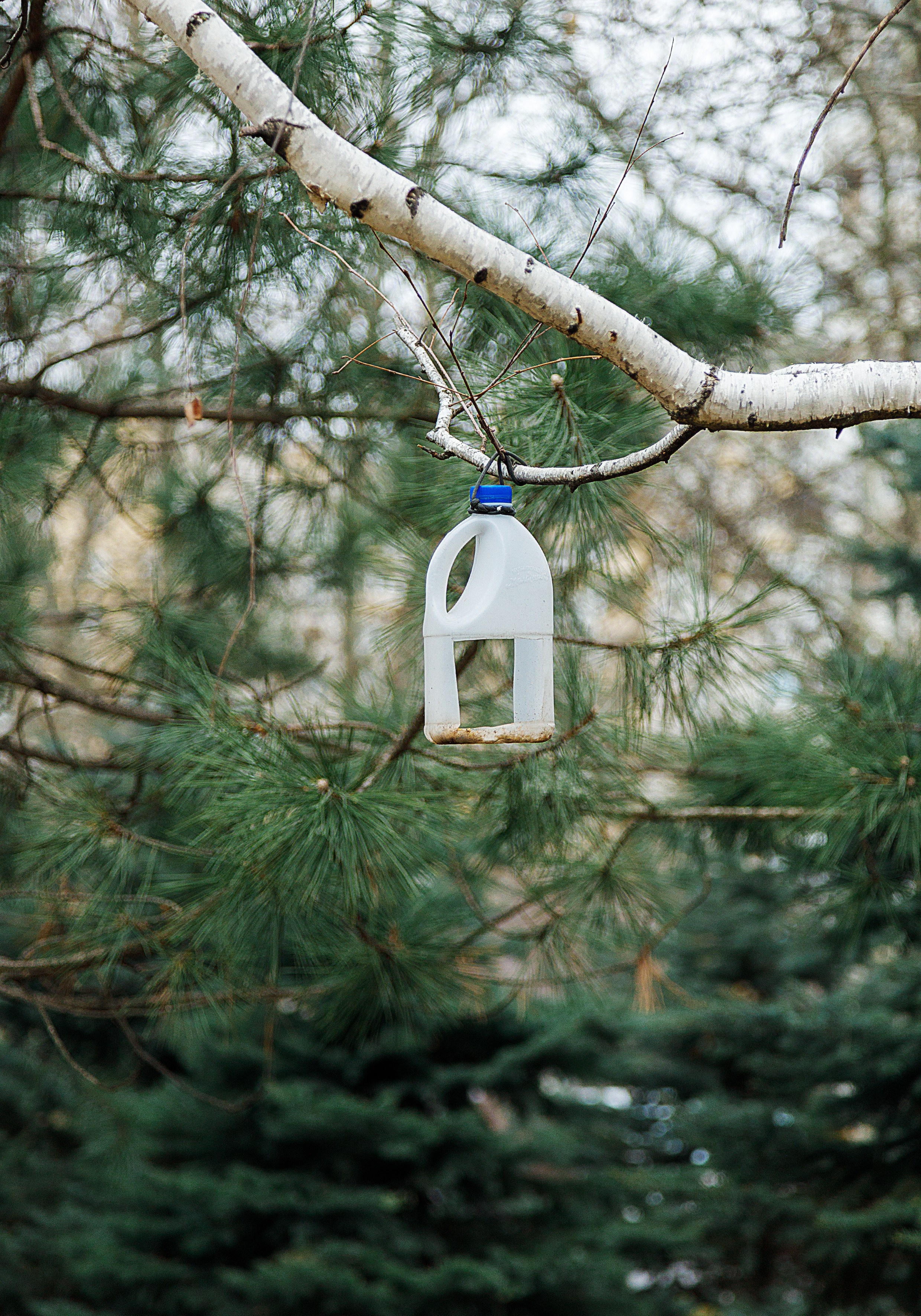 Проект «366»|2024|Фото каждый день. LENA GRACE photographer ||ЛЕНА ГРЭЙС фотограф