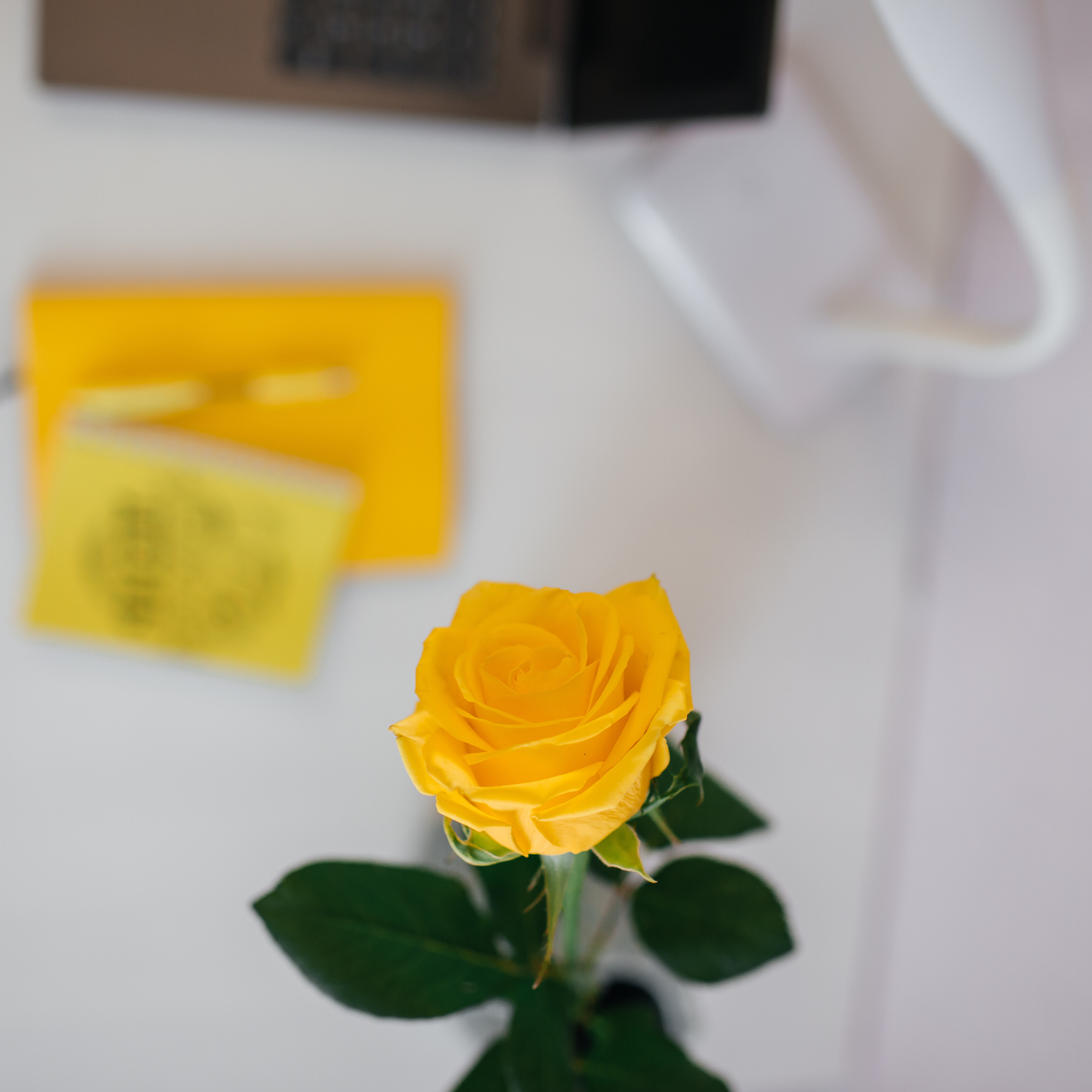 Фотограф Ейск ПРОФКОНТЕНТ. Фотограф Ейск Фотостудия в Ейске