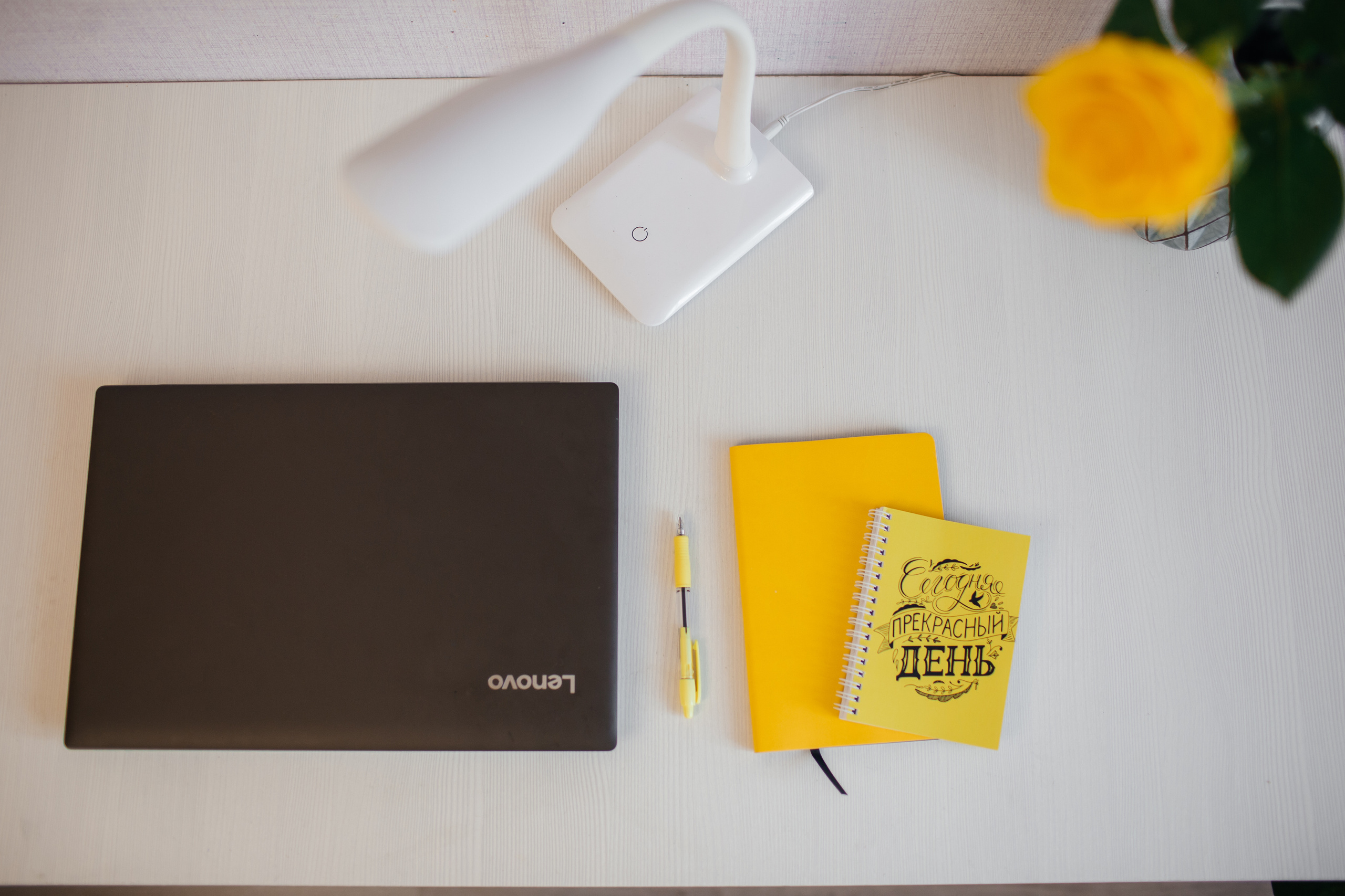 Фотограф Ейск ПРОФКОНТЕНТ. Фотограф Ейск Фотостудия в Ейске