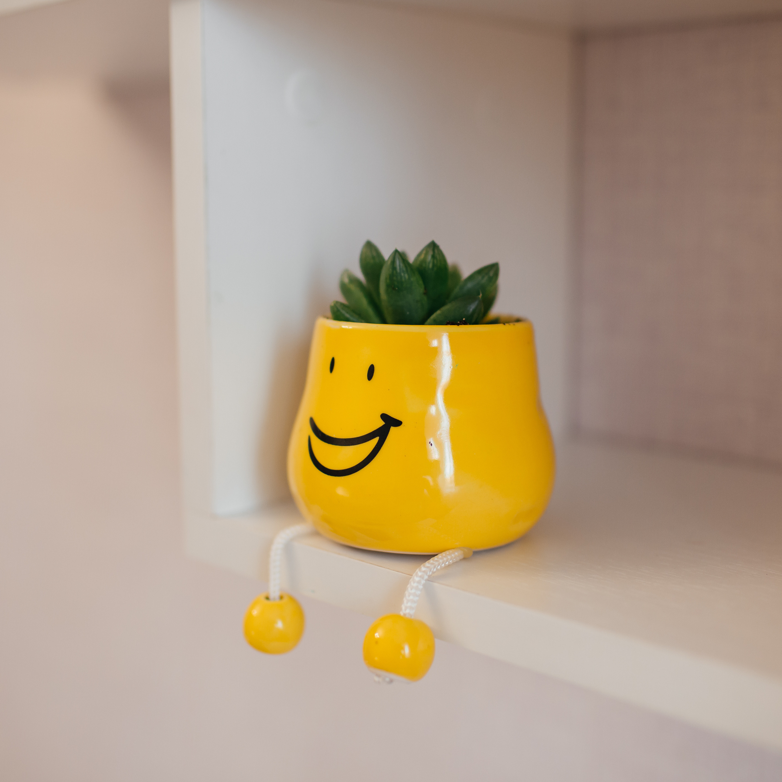 Фотограф Ейск ПРОФКОНТЕНТ. Фотограф Ейск Фотостудия в Ейске