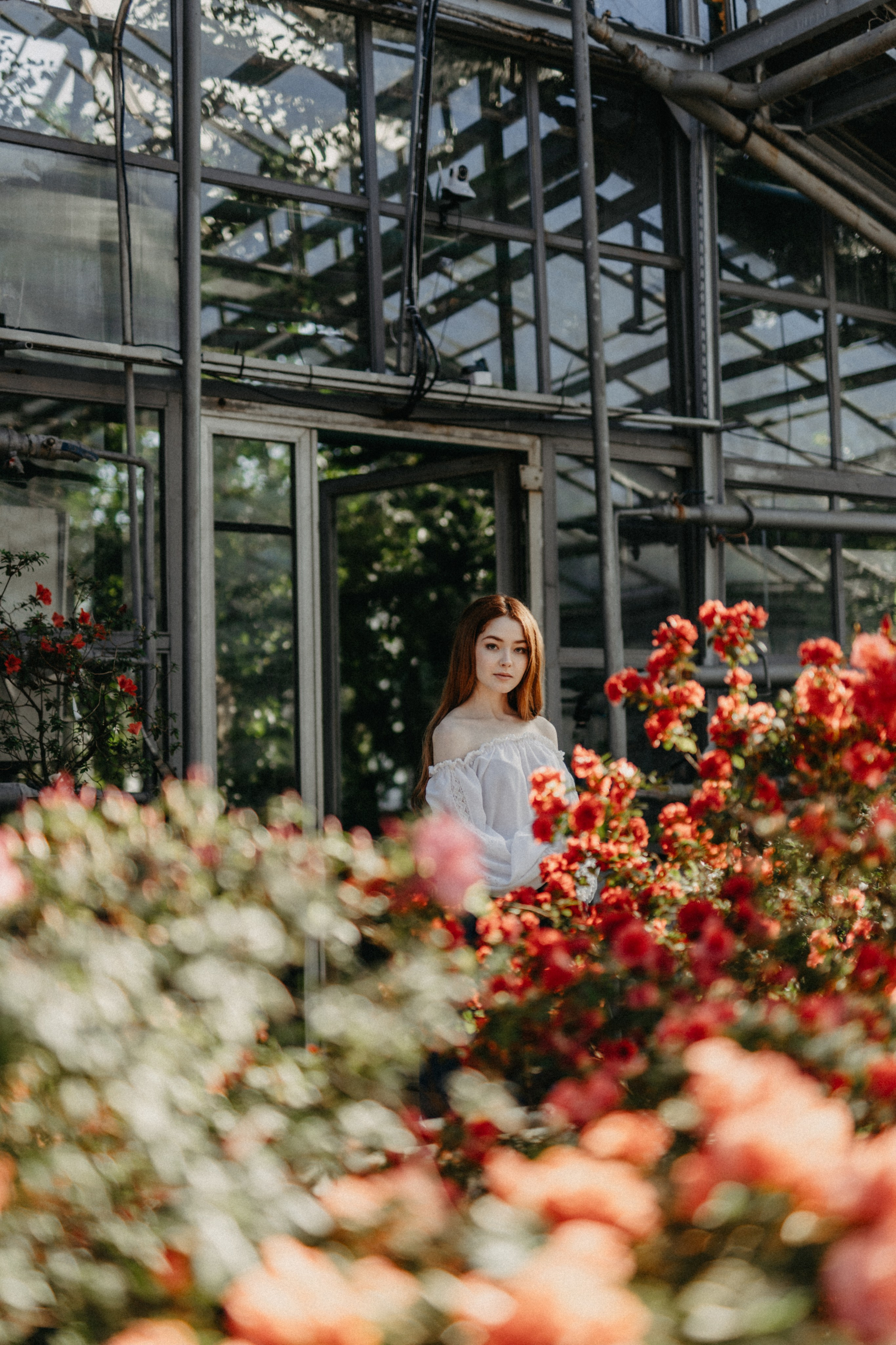 Там, где круглый год весна. Фотограф Наталья Колганова