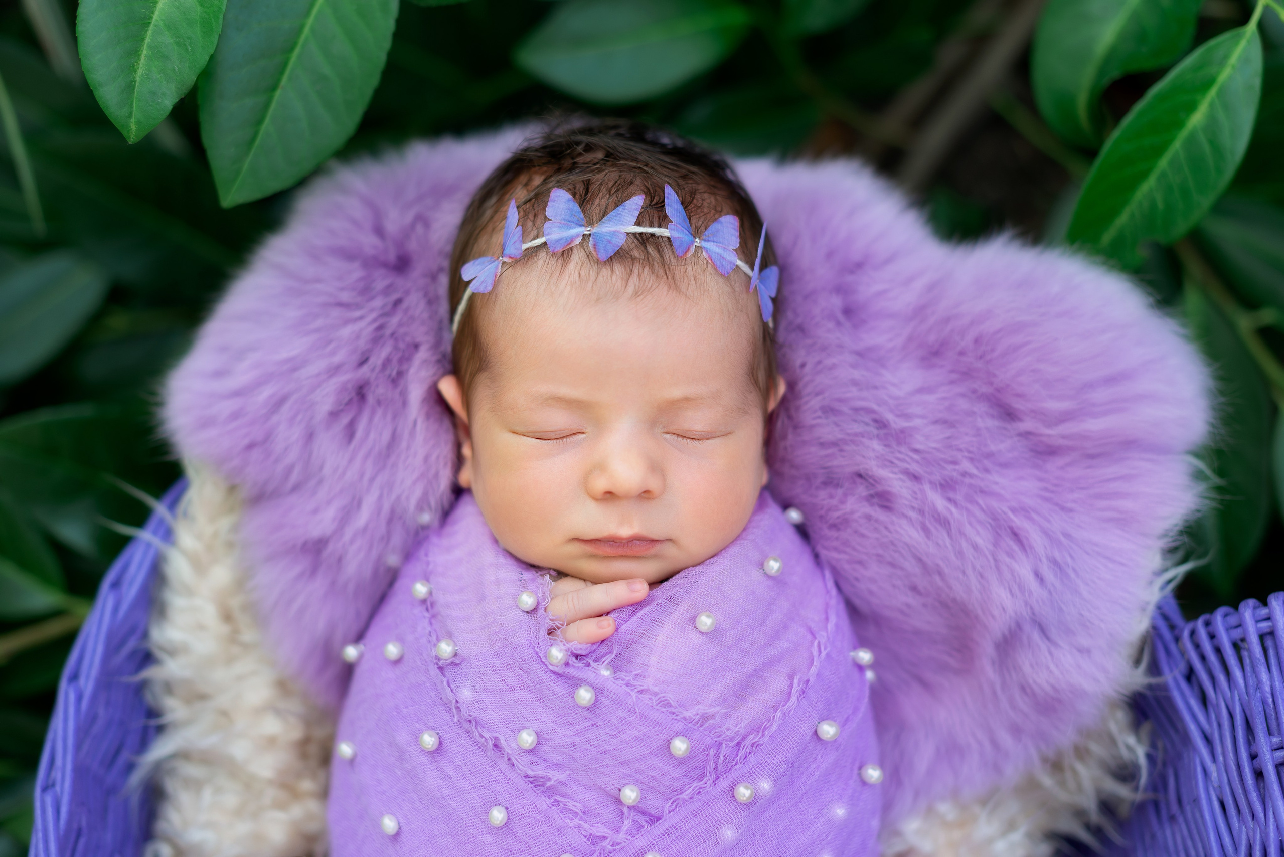 Диана. Детская фотостудия «Мандаринка» | Детский фотограф Краснодар