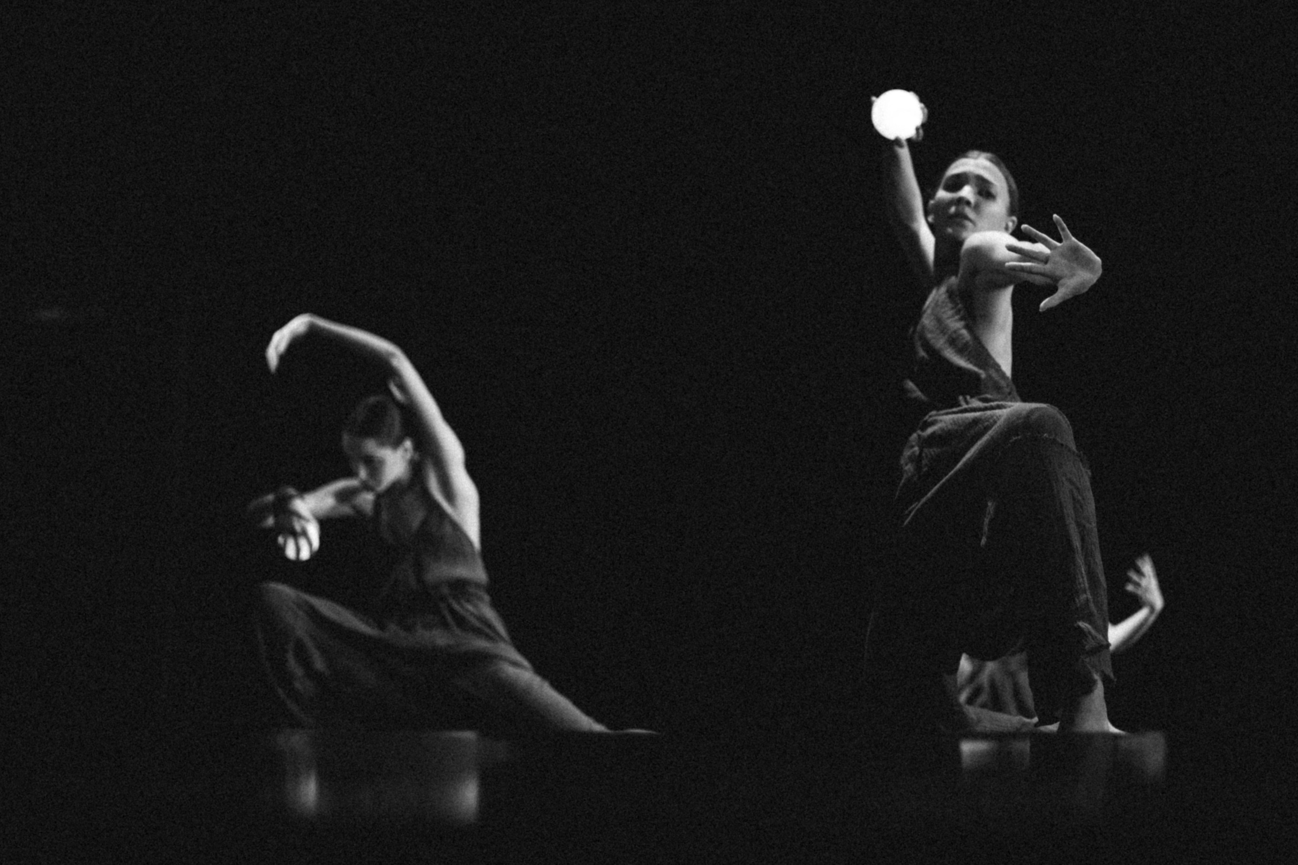 Концерты. Виолетта Скрипка