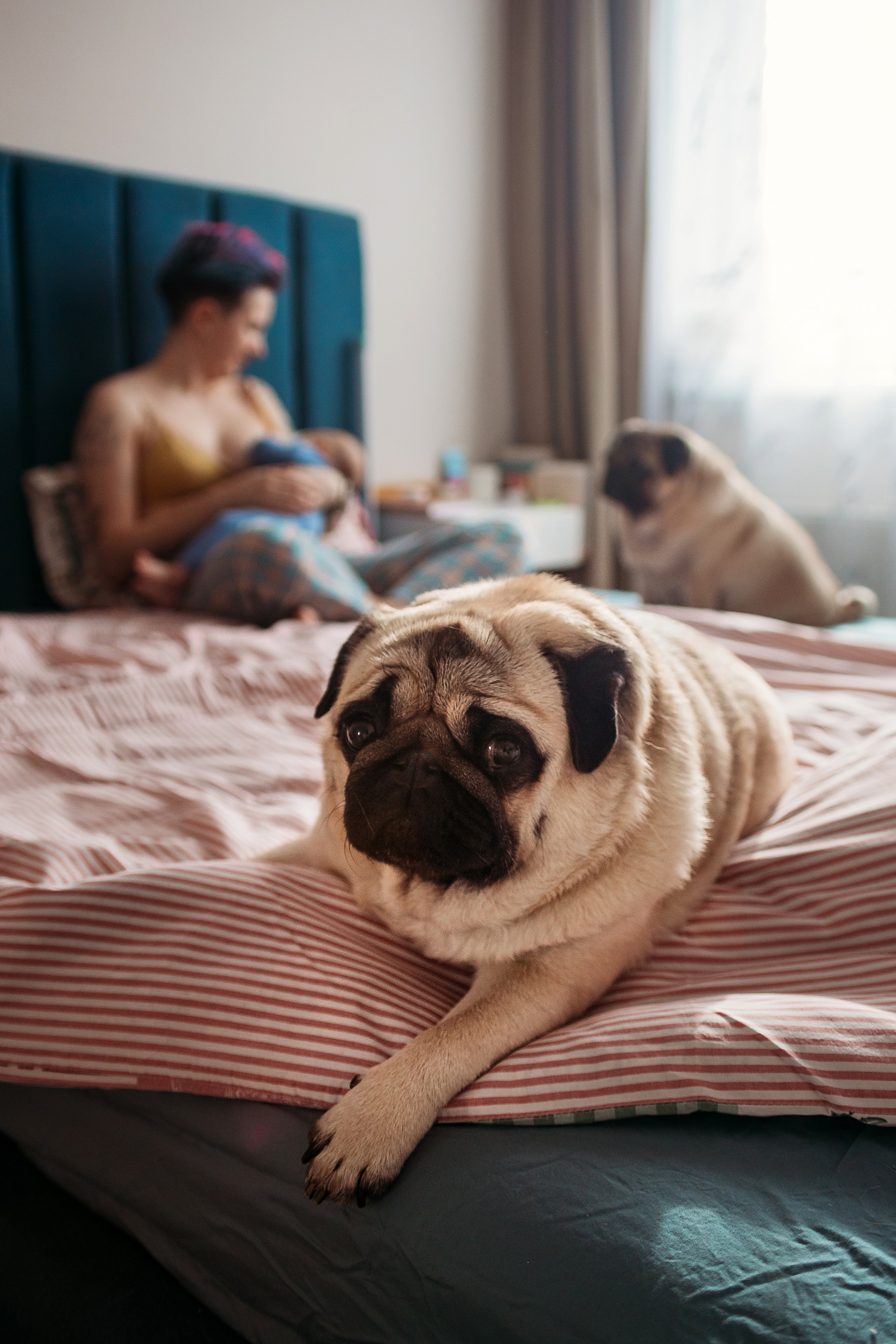 Семья Анастасии. Семейный фотограф Марина Платонова