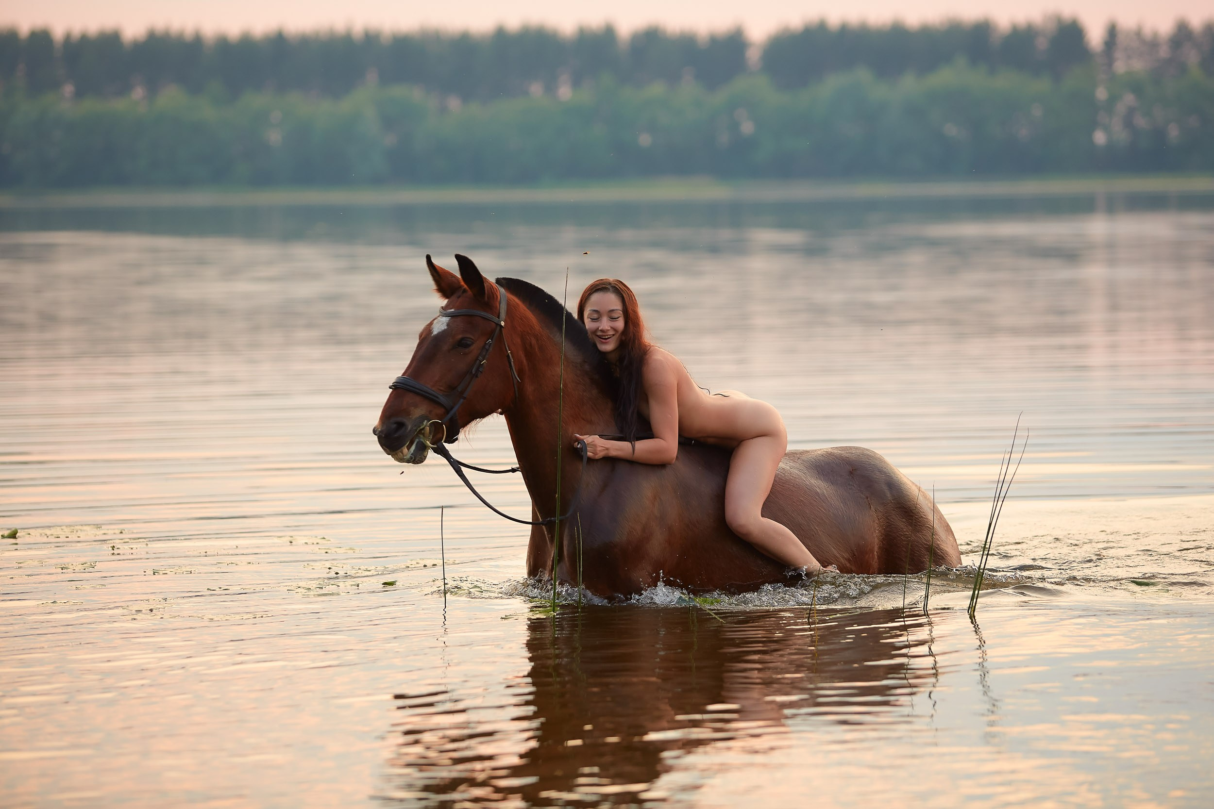 Фотосессия с лошадьми, Фотограф Михаил Семенов г. Ярославль