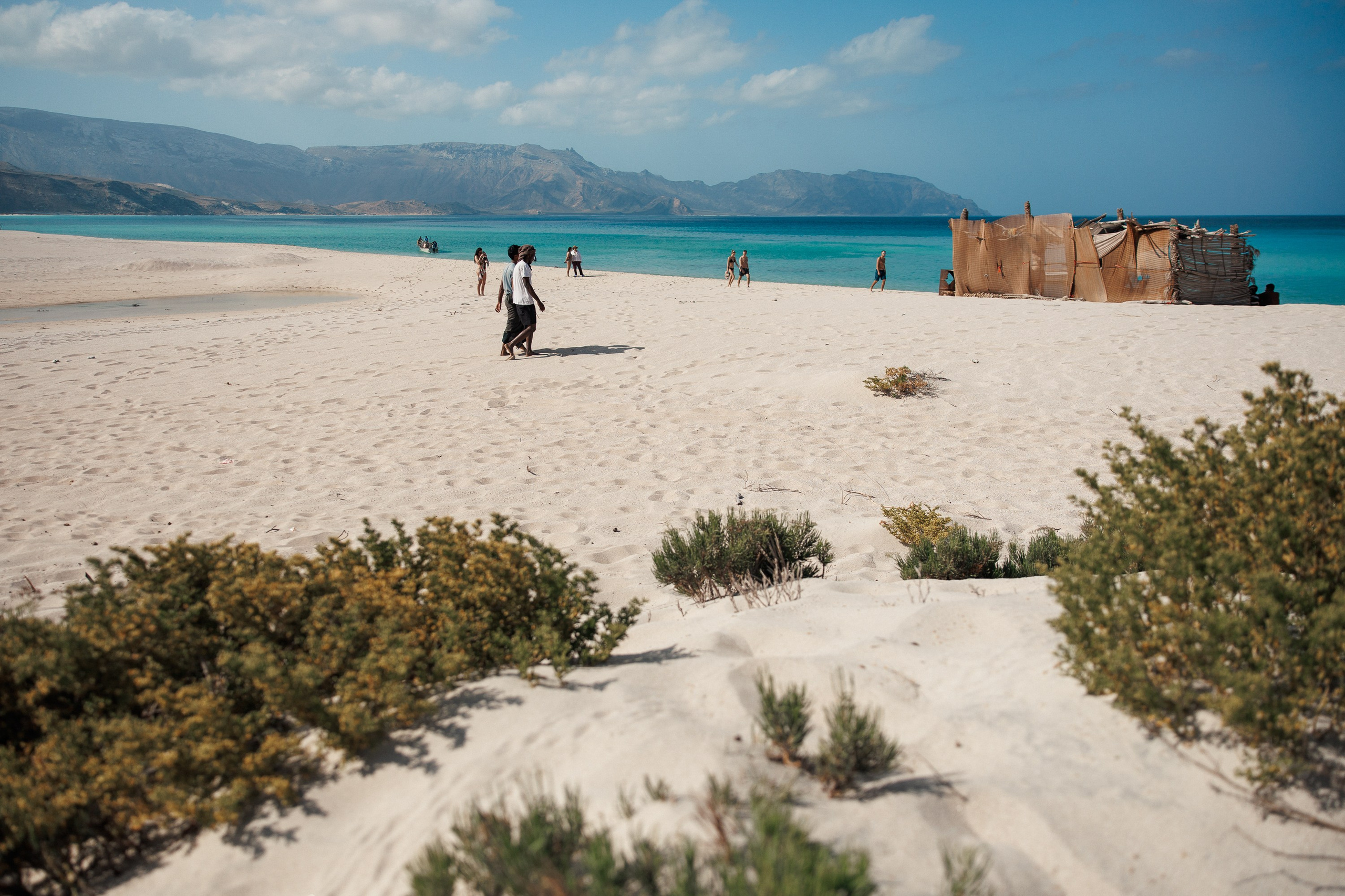 Socotra