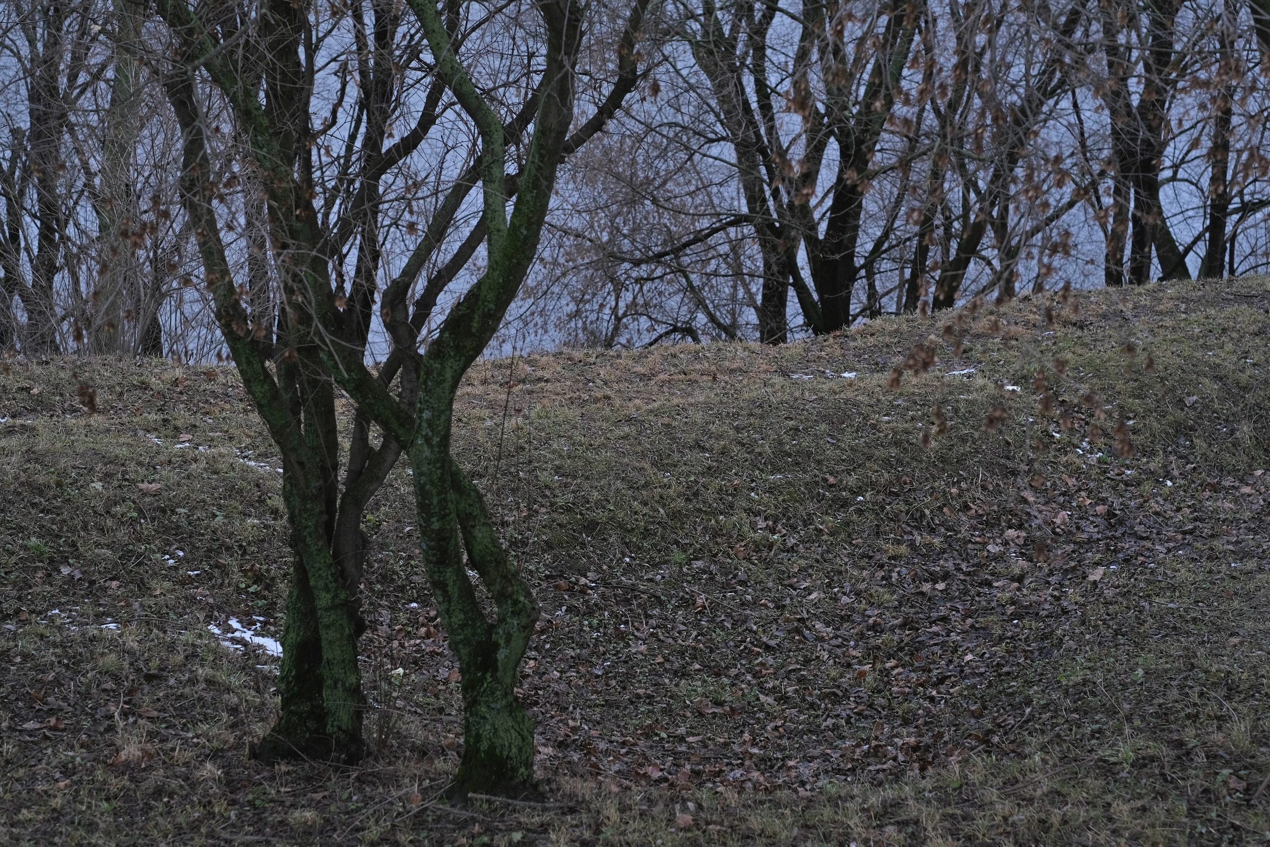 Фотоальбом с разными съёмками