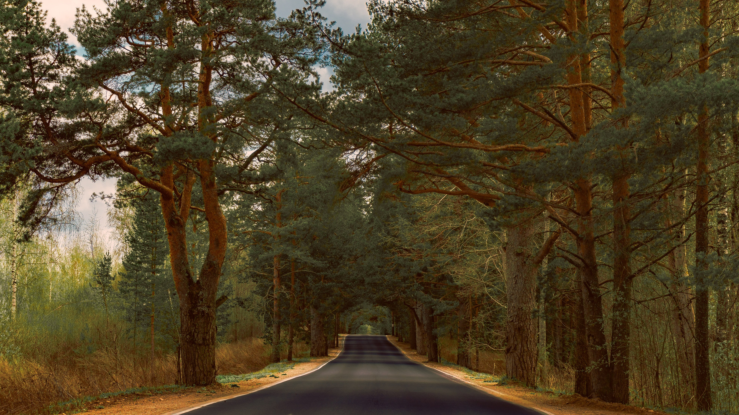 Попкова Виктория, фотограф, пейзаж, ночь, vphoto, звезды, небо, космос, фотокартины, природа, фотография, искустсство, устюжна