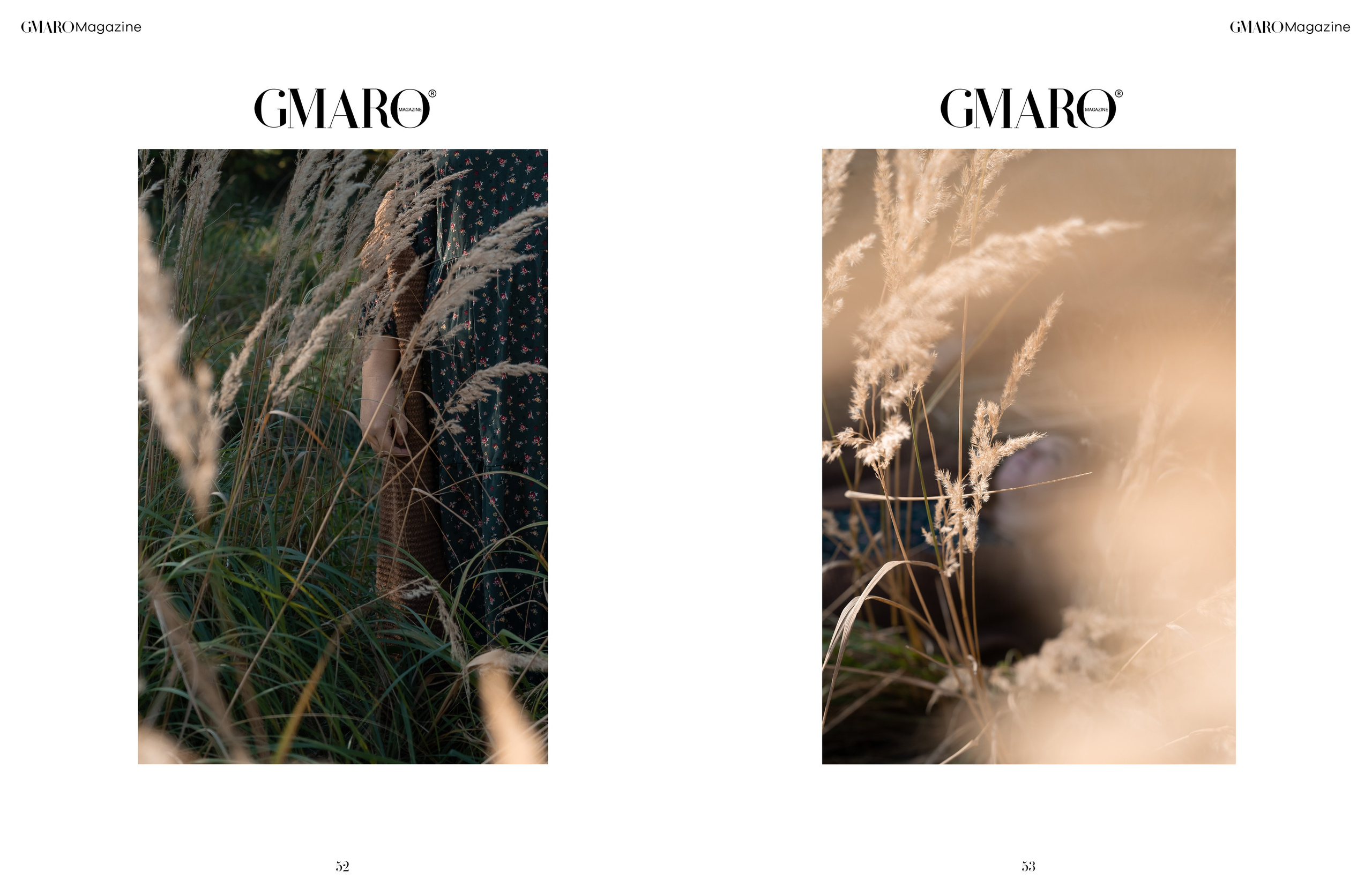 Публикации в журналах