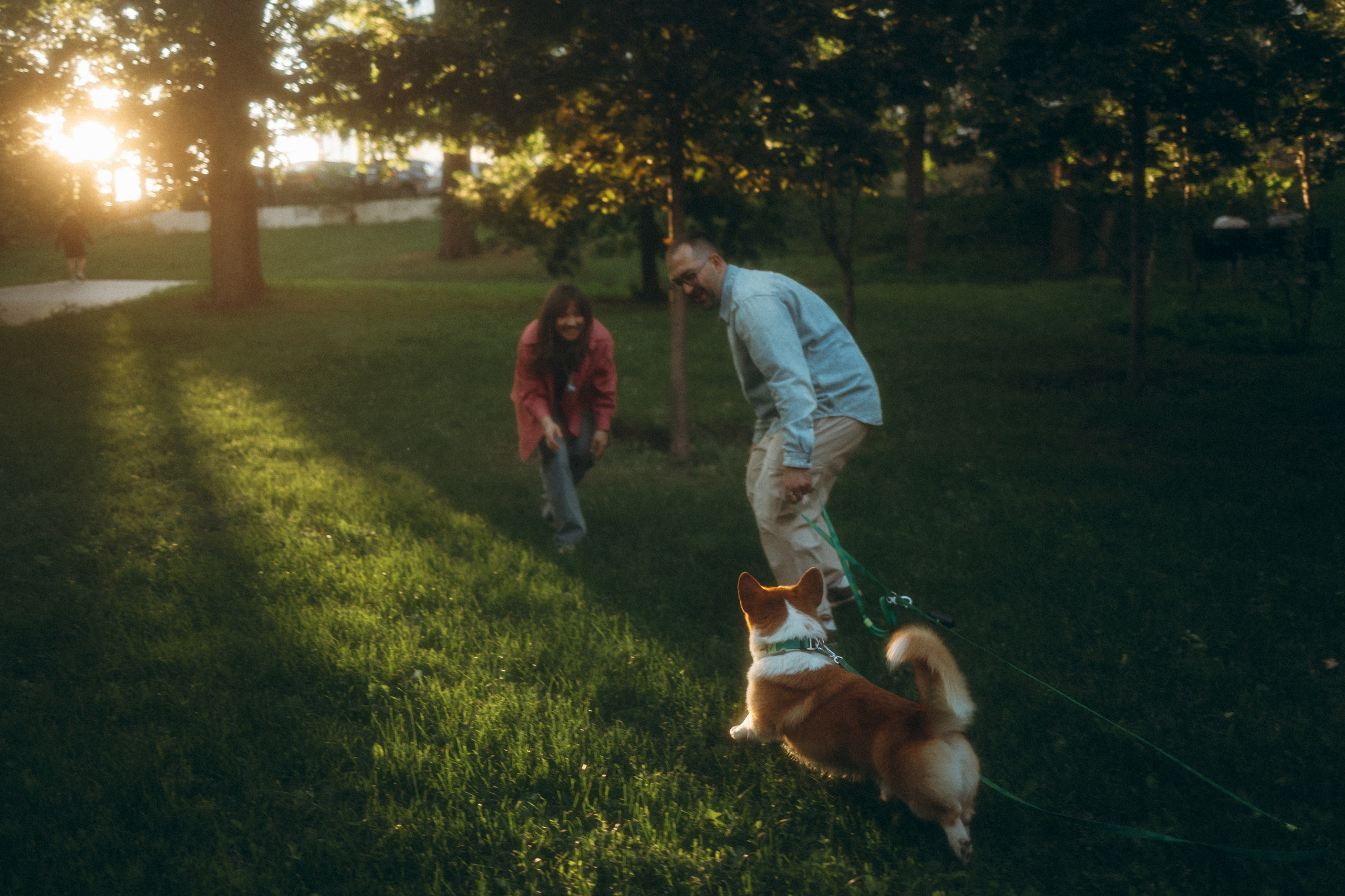 Момо, Люда и Эд. Фотограф анималист Анастасия Пикей