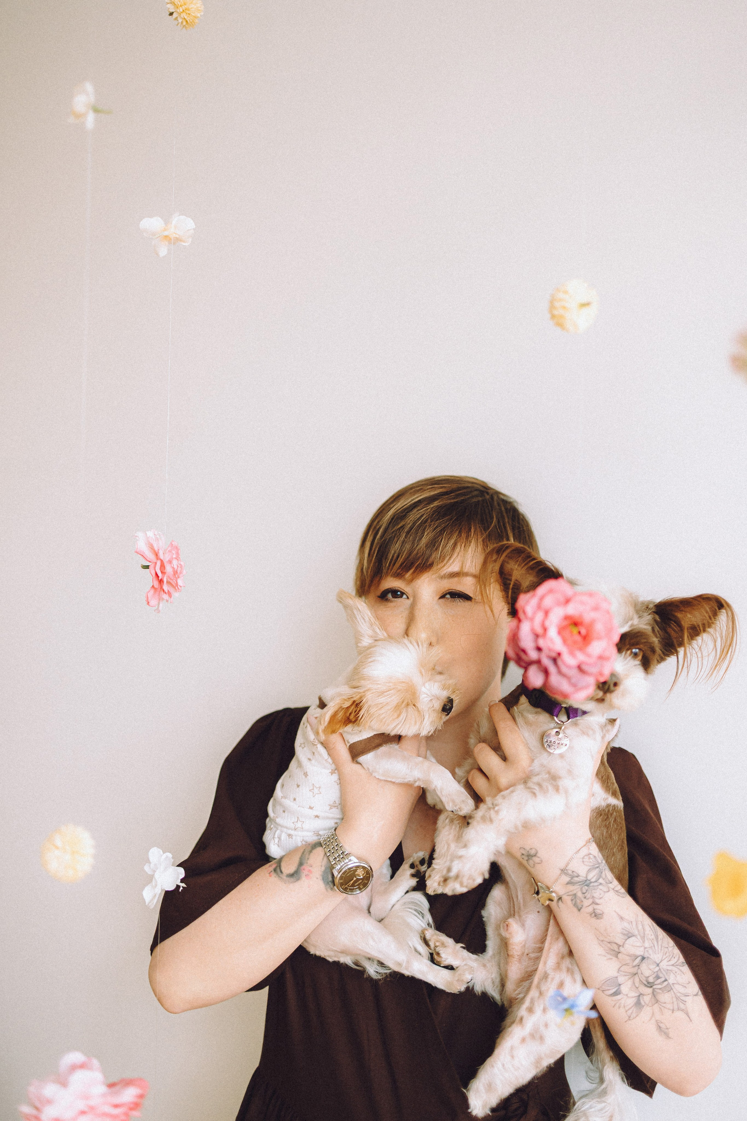Джо, Мэйли и их семья. Семейный фотограф животных, анималист в Москве Екатерина Киреева