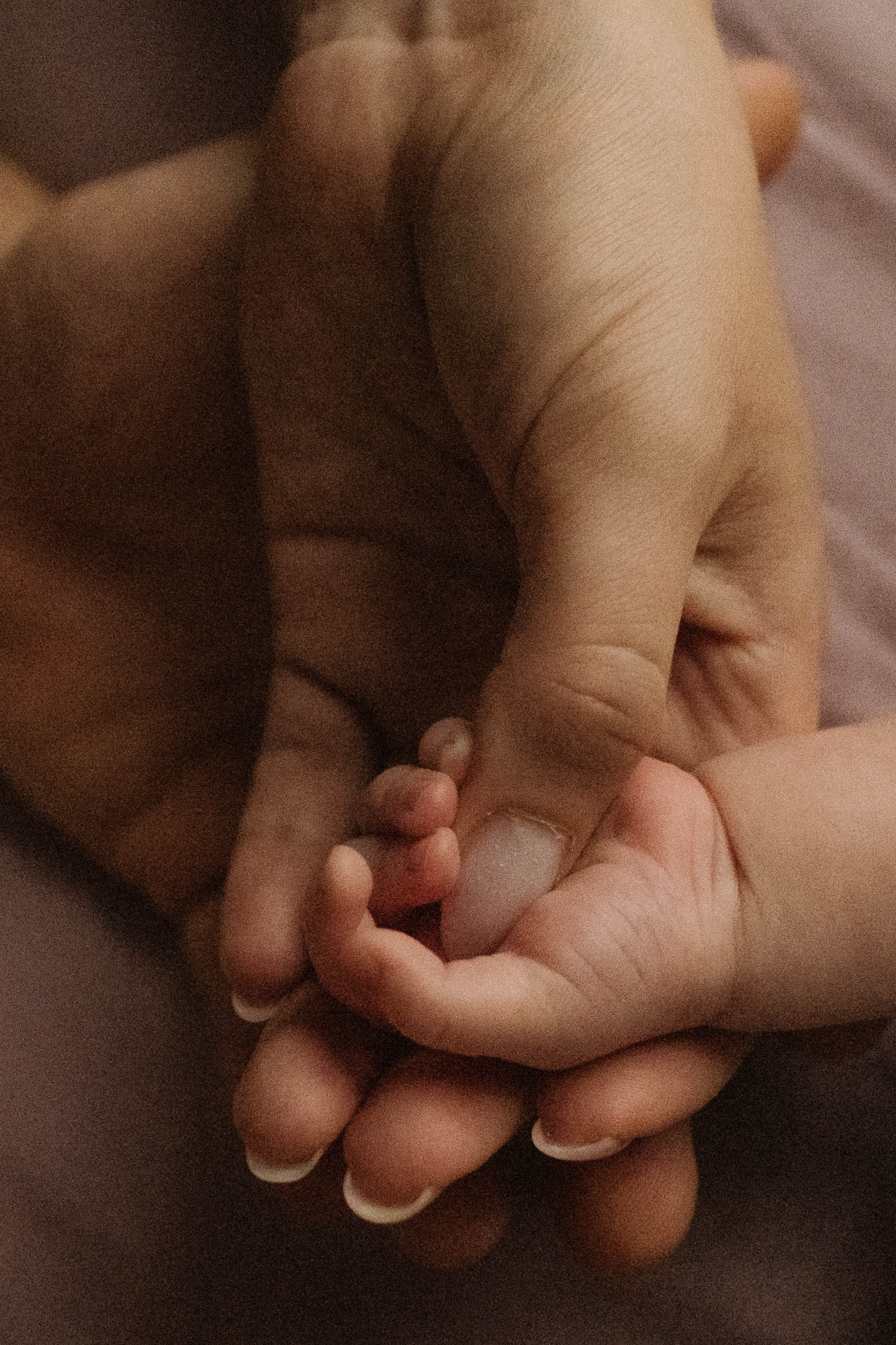 Новорожденная съёмка. Семейный фотограф в Санкт-Петербурге Дарья Косянчук