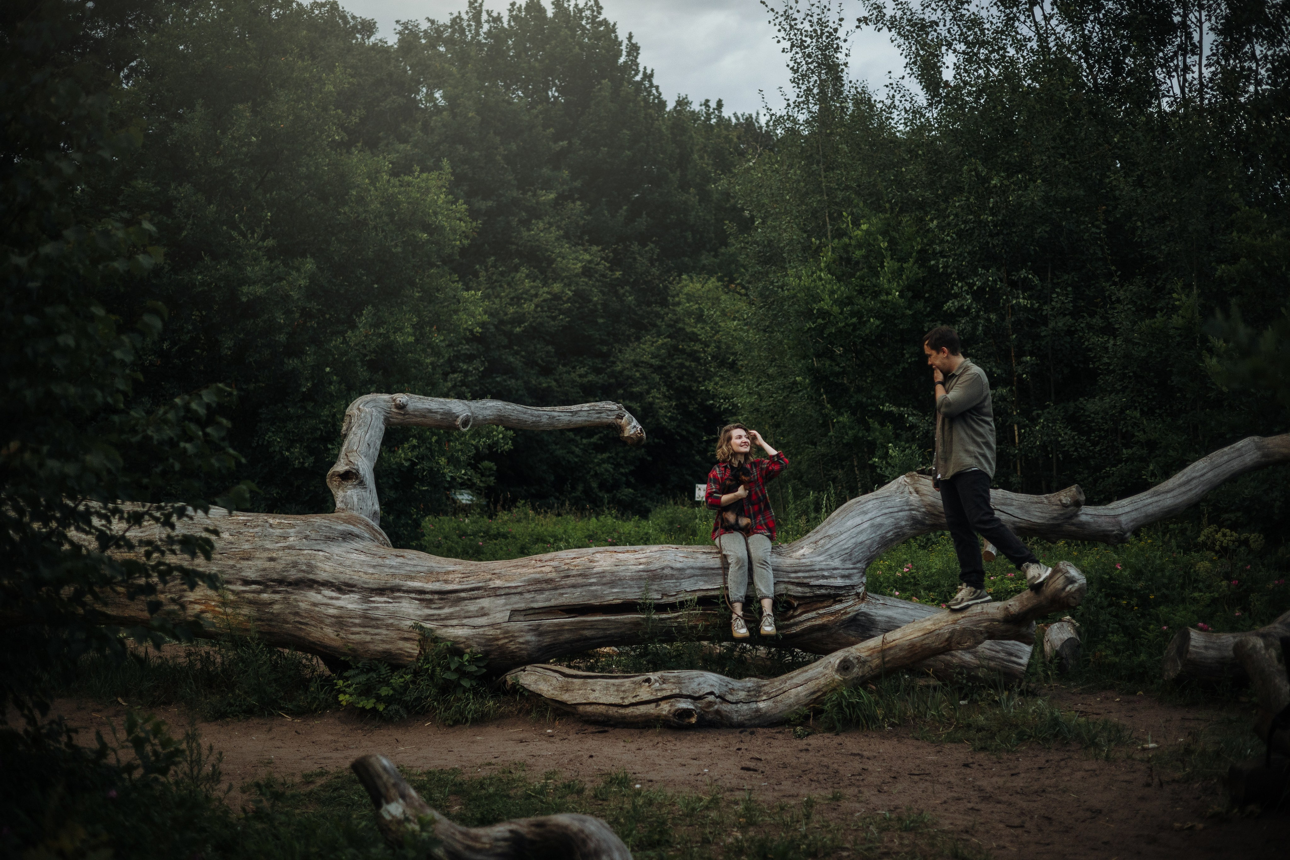 Сириус и его семья. Фотограф — Анималист | Санкт-Петербург