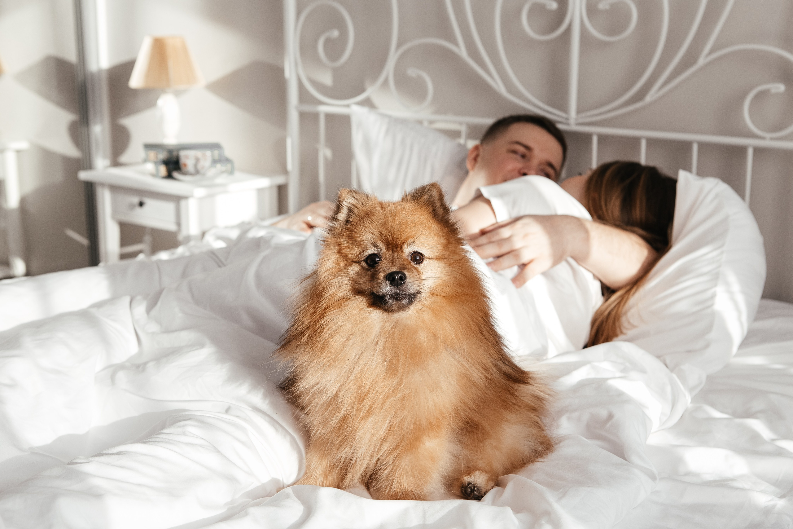 Семейный и свадебный фотограф в Томске | Екатерина Дворецкая