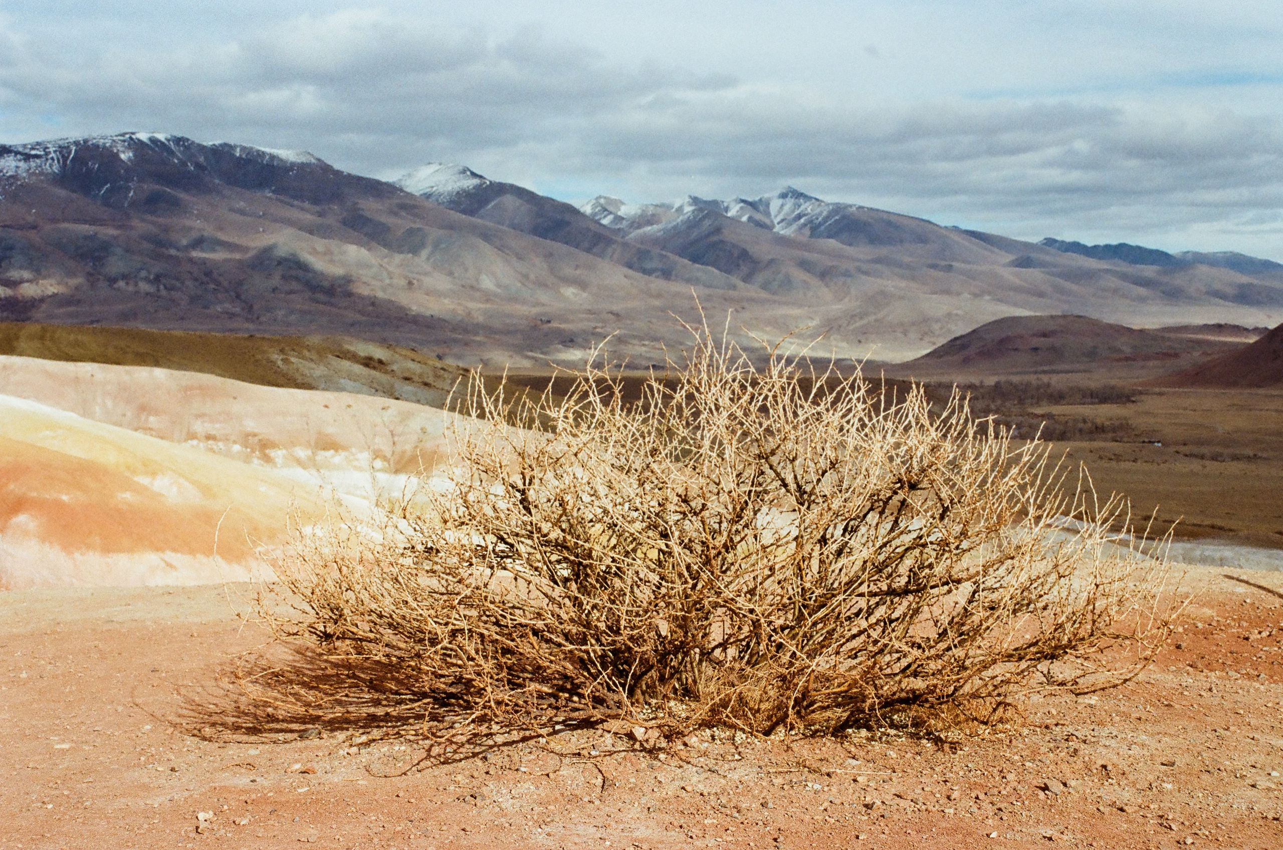 Плёнка. Свадебный и портретный фотограф в Тюмени Женя Черемнова