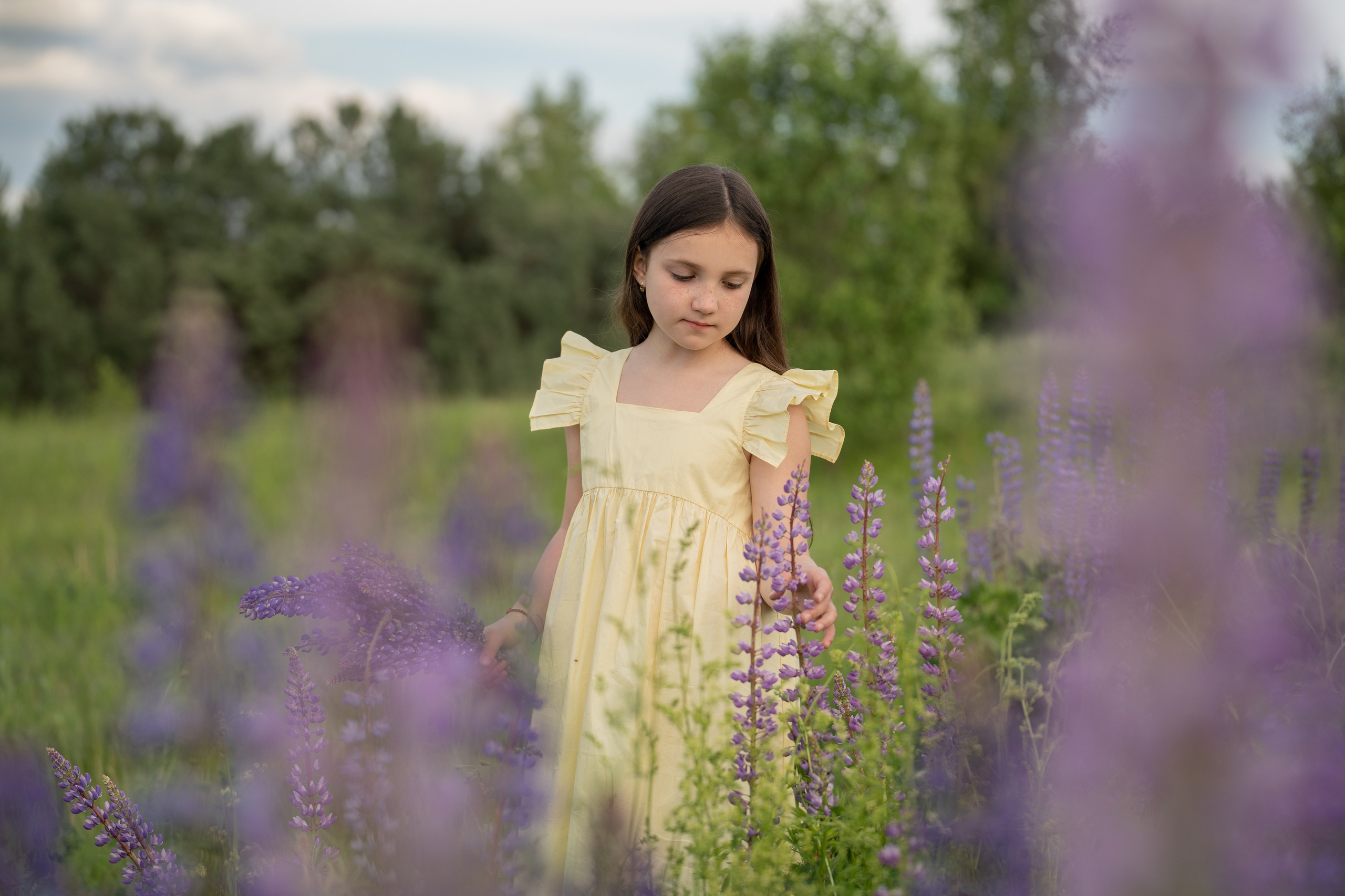Детская фотосессия в люпинах. Портретный фотограф Олеся Владимирова в Москве