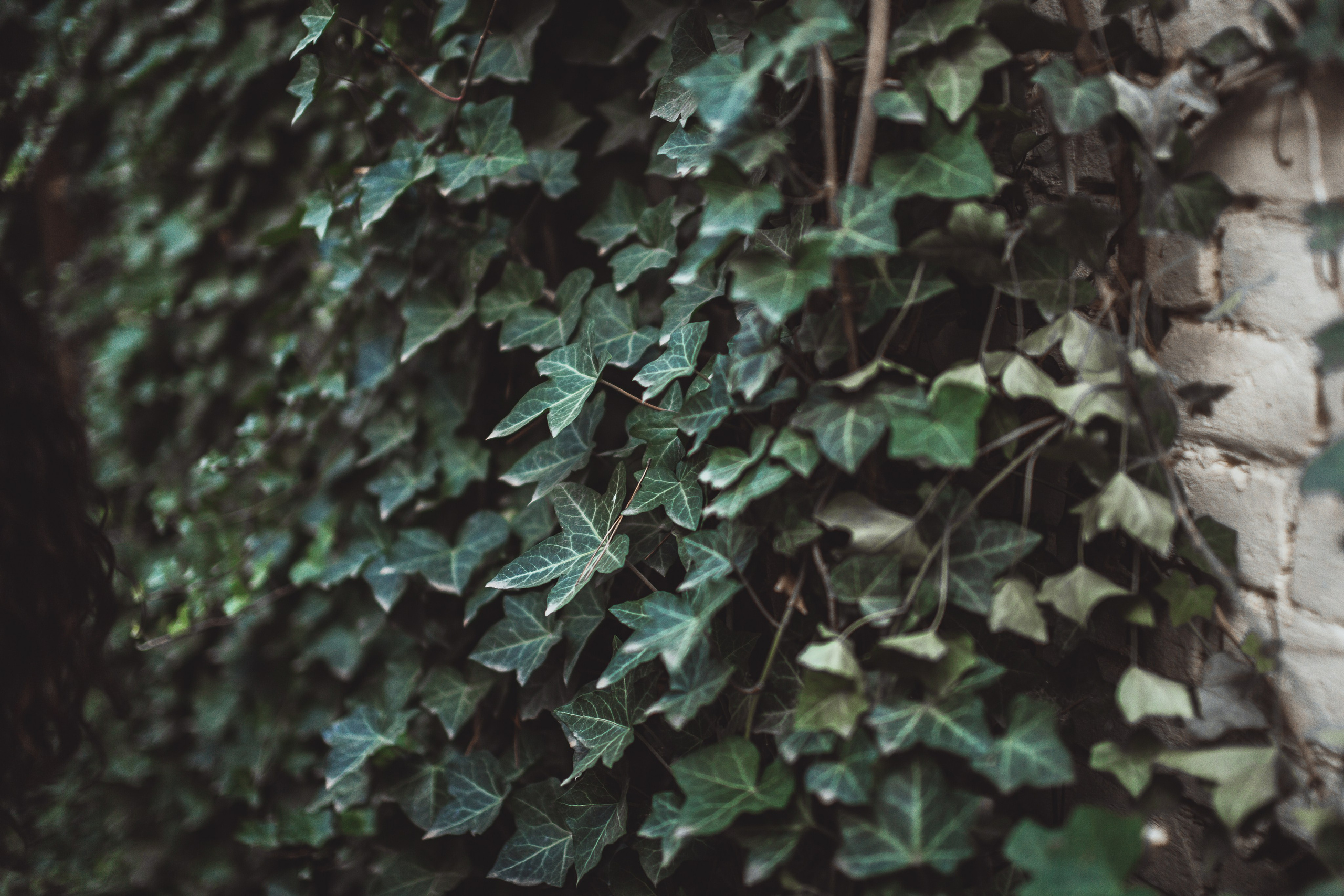 Прогулка с Женей по городу. Фотограф Краснодар/преподаватель фотографии