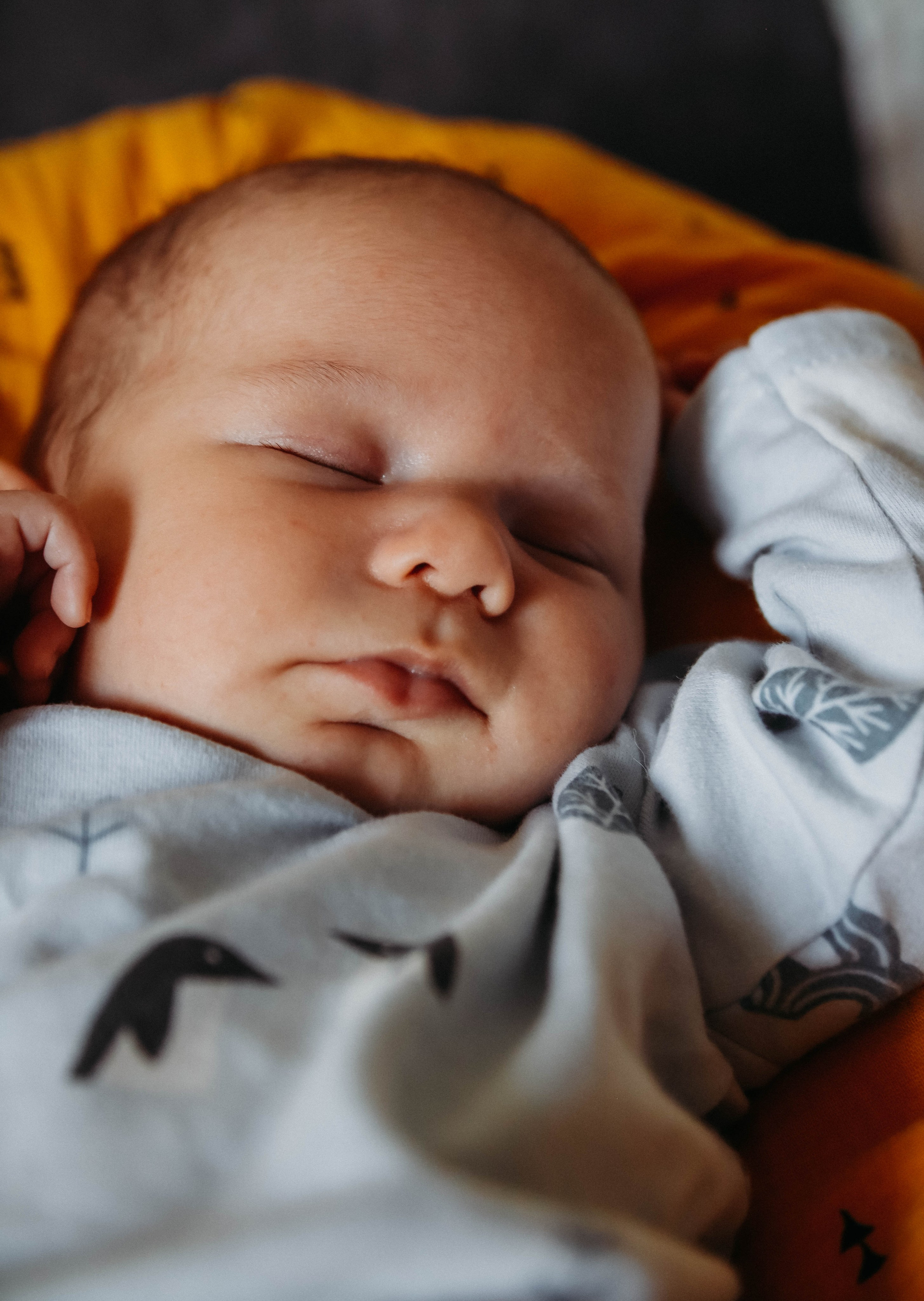 Дети. Фотограф Ступино, Фотограф Домодедово, Фотограф Москва