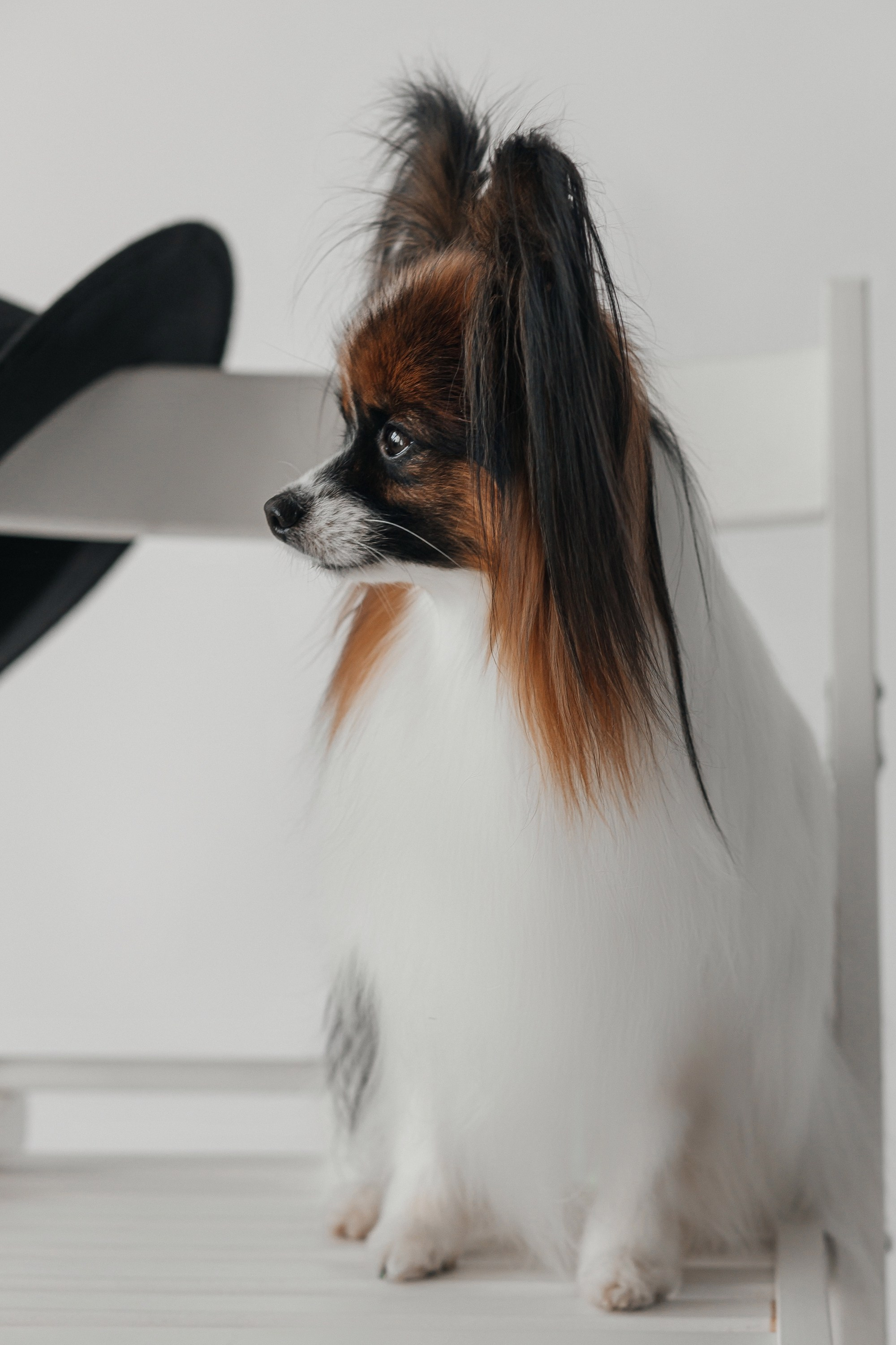 В студии. Свадебный фотограф Дмитрий Воробьев Ярославль