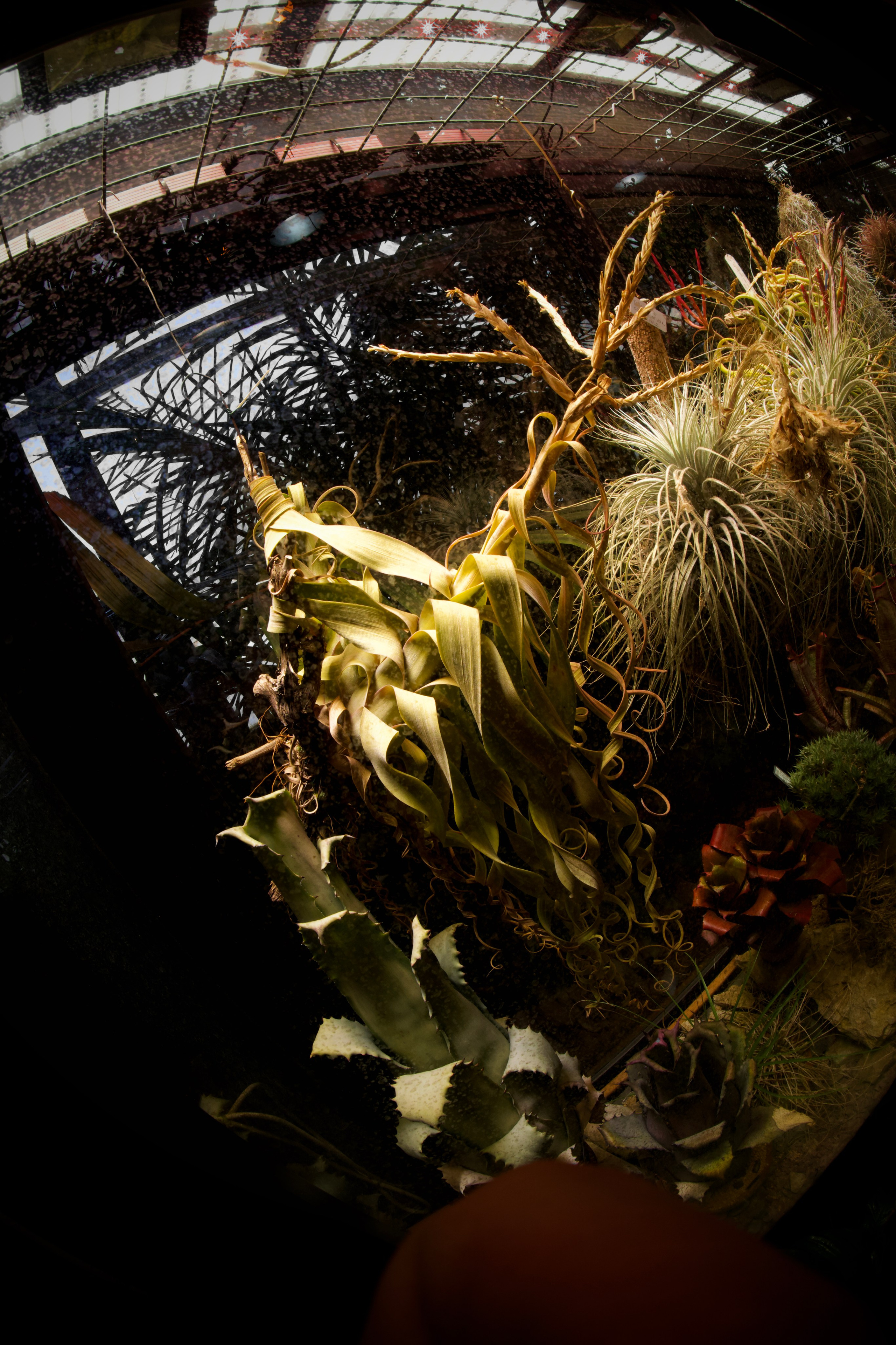 Аптекарский огород. Фотограф-любитель из Кирова Андрей Погребняк