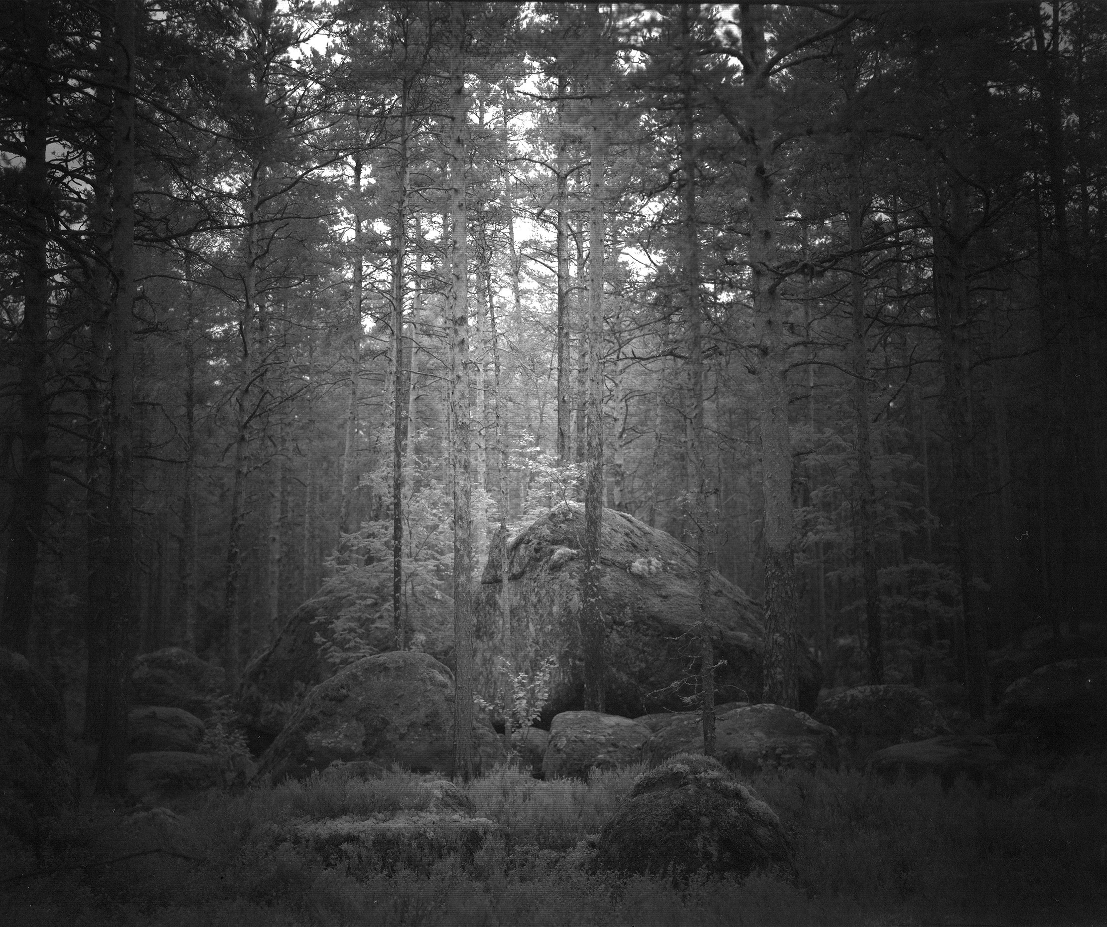 Хроно-камера «Буратино». Roman Hodirev is an esoteriologist, multidisciplinary artist, photographer and musician. Saint Petersburg, Riga