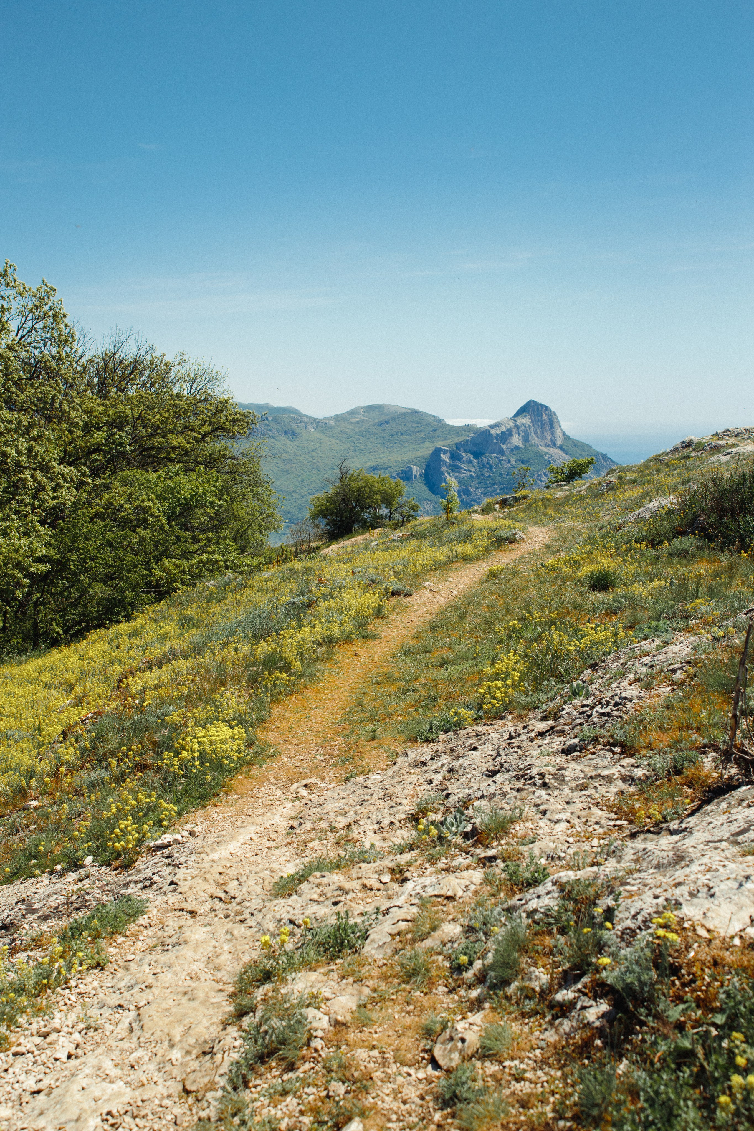 Nature. Артем Корнев Фотограф