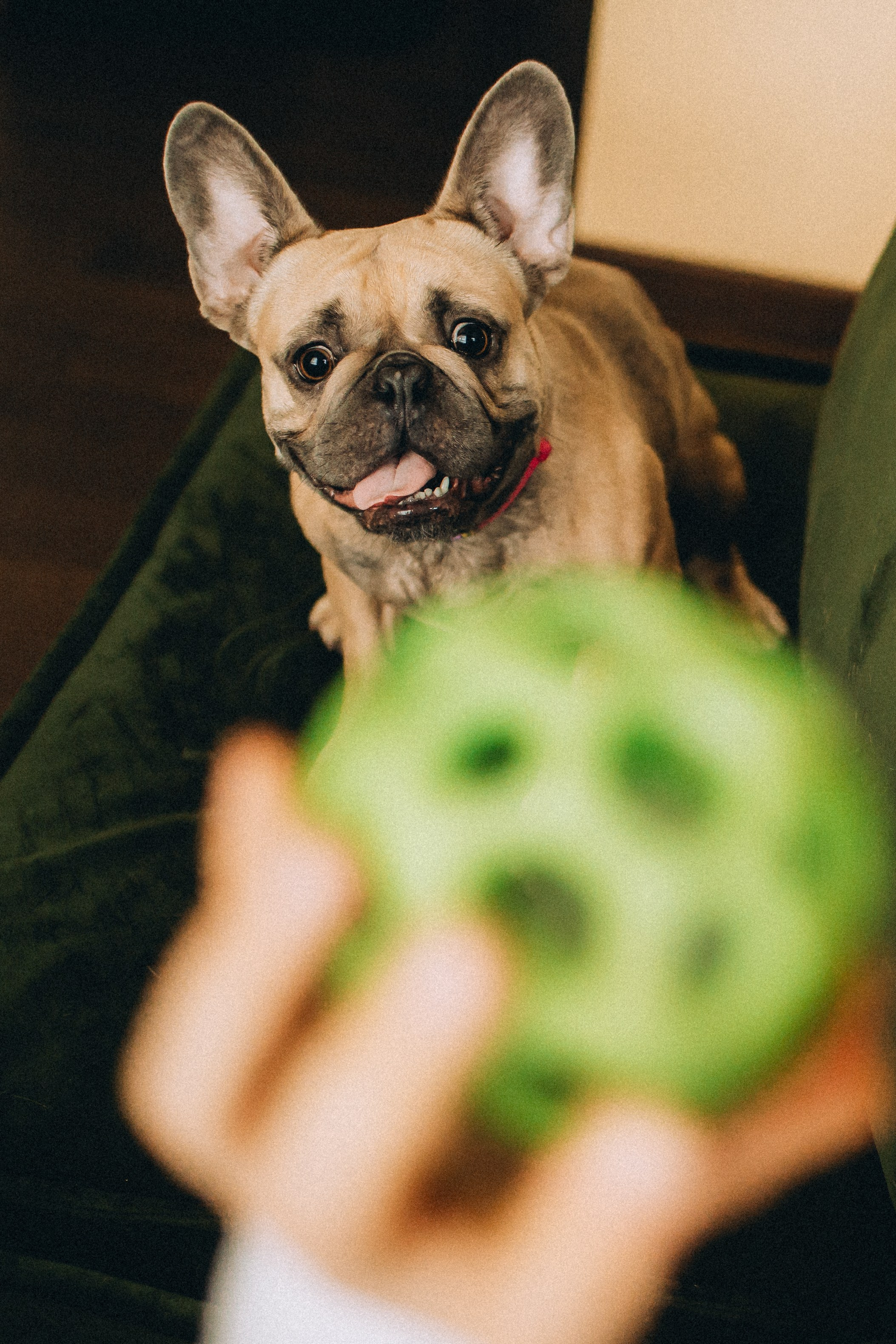 Юля, Мия и Зек