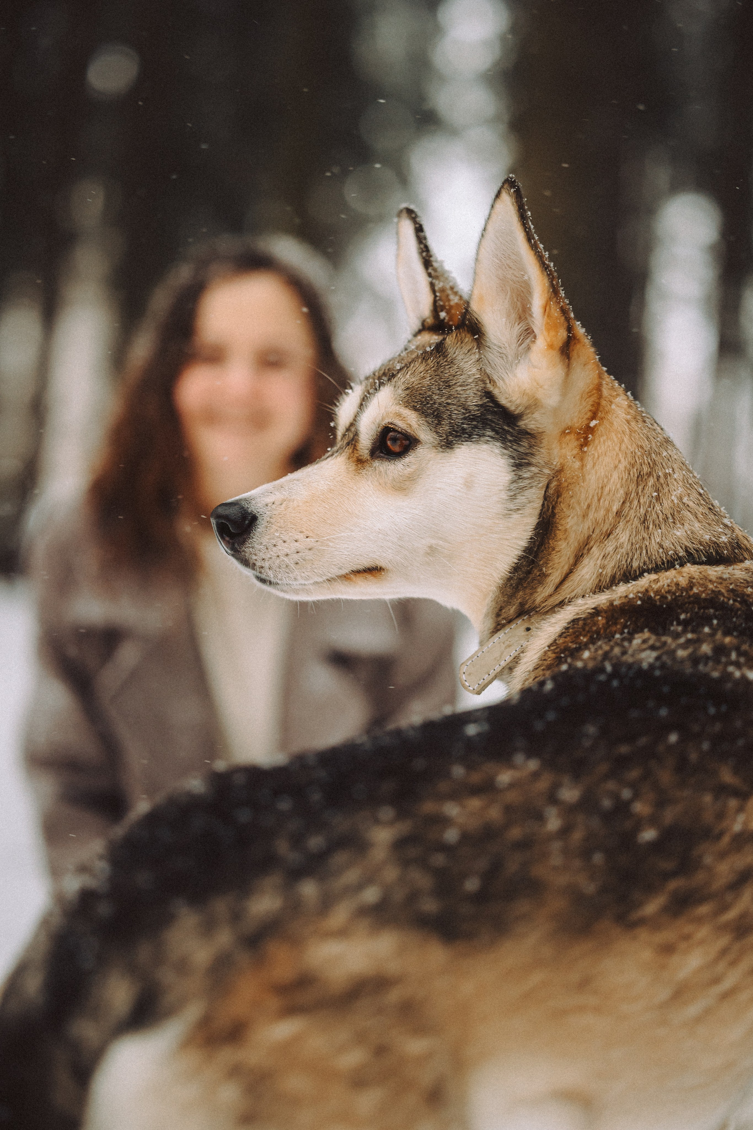 Аня и Рокси
