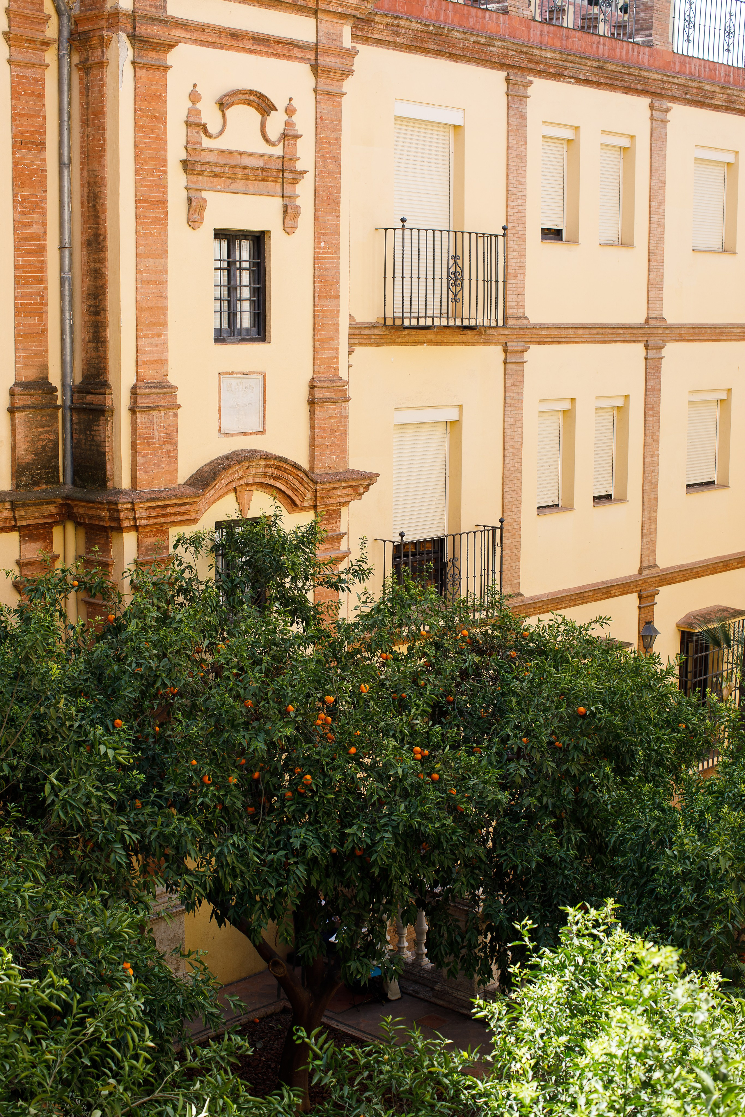 Малага 2024. Репортажный и портретный фотограф Русакова Жанна