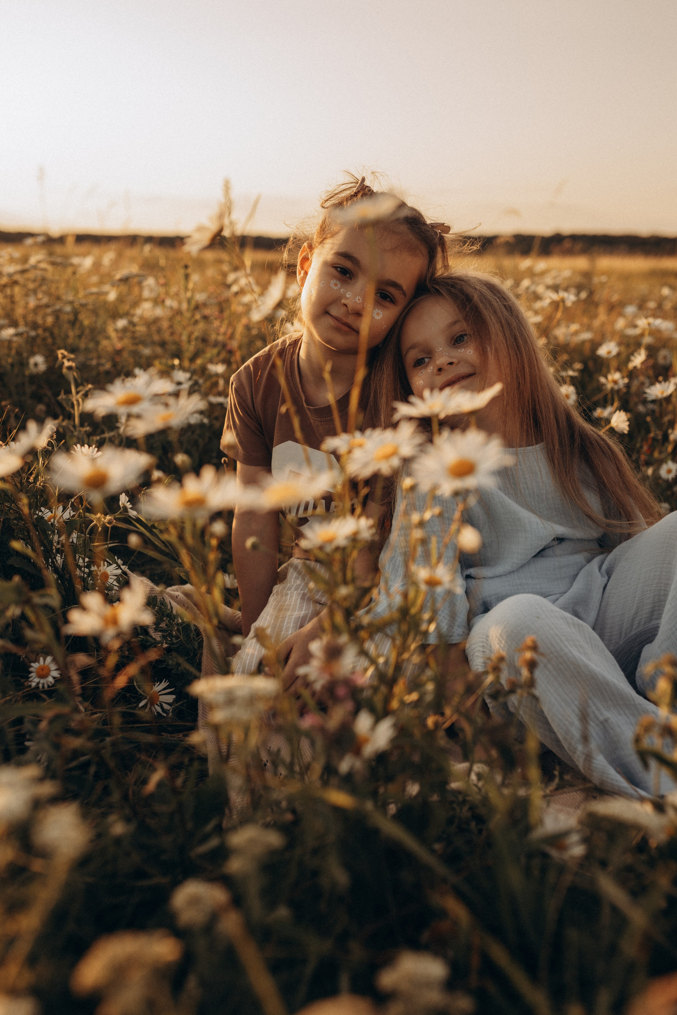 Закат на ромашковом поле. Фотограф в Ставрополе Svetlana Matveeva