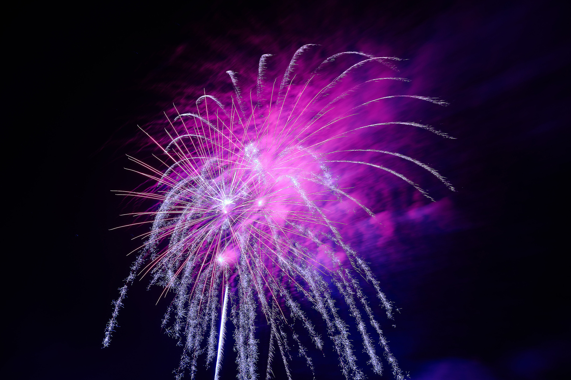 Фотографии с дня города Гвардейск 2023. Фотосъемка и видеосъемка в Калининграде Liveemotion.pro