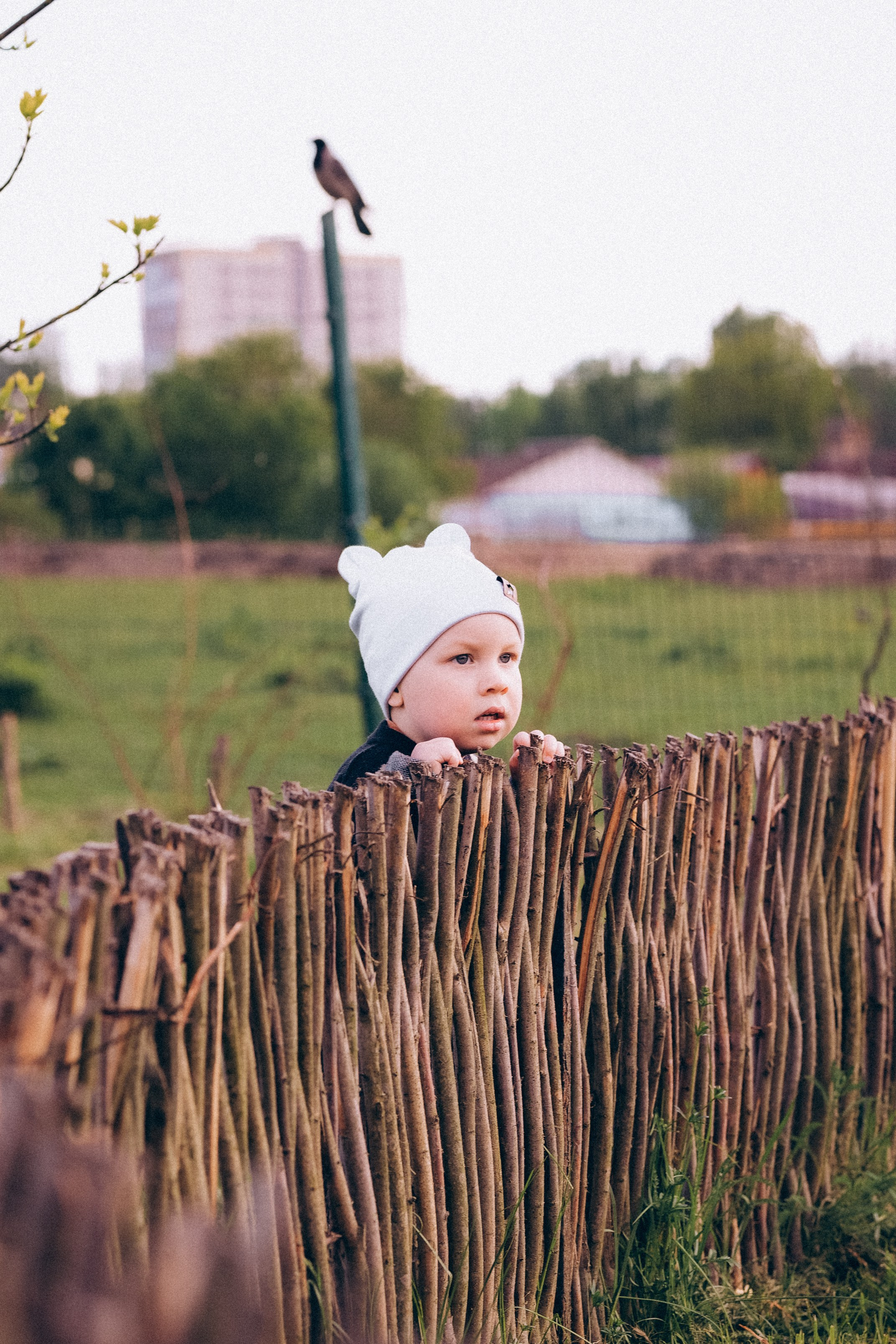 Семейная прогулка в Динопарке