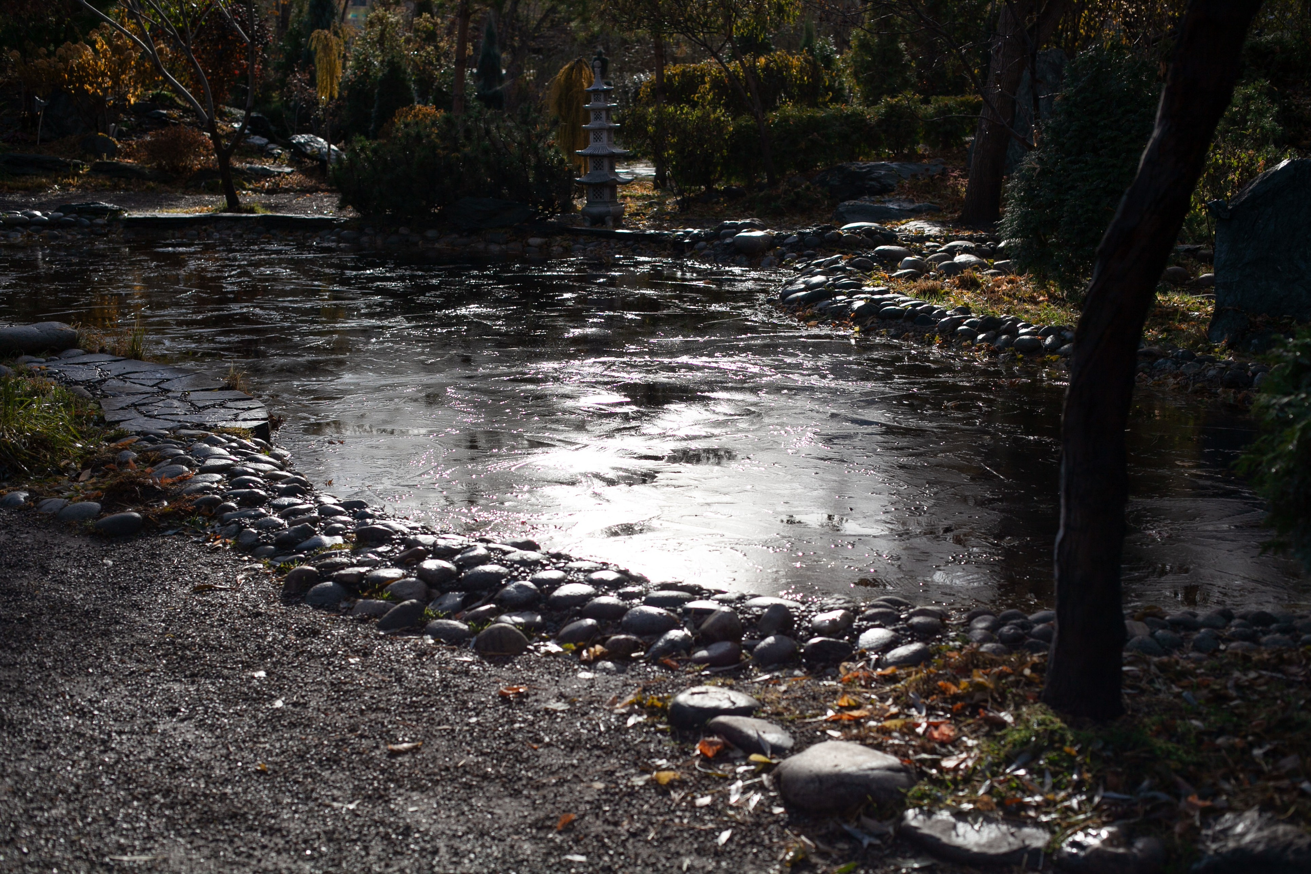 Сады Мечты. Контент для сайта. Фотограф Дарья Локотко в Красноярске
