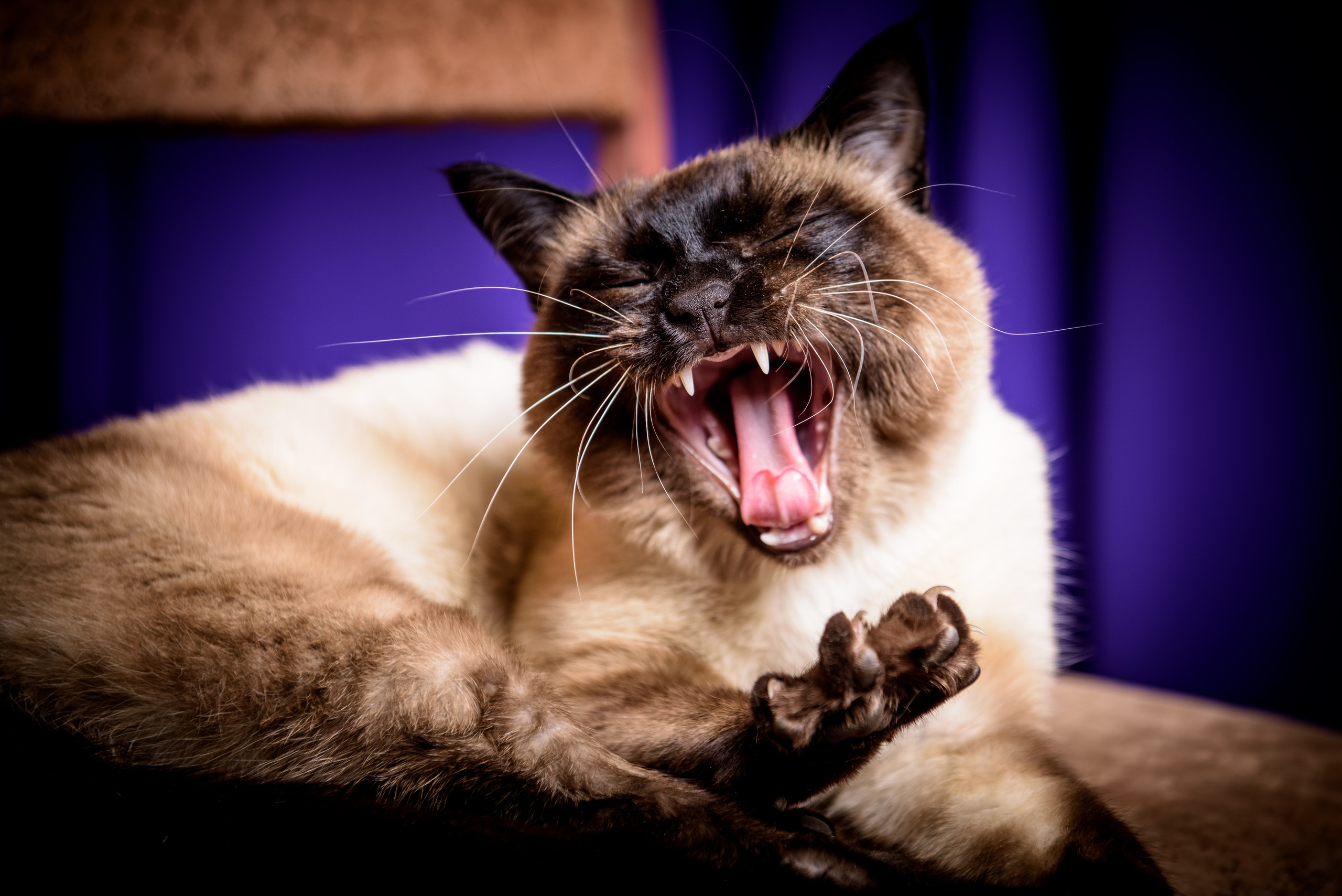 Разное. Школьный и свадебный фотограф в г. Бодайбо Артём Бельский