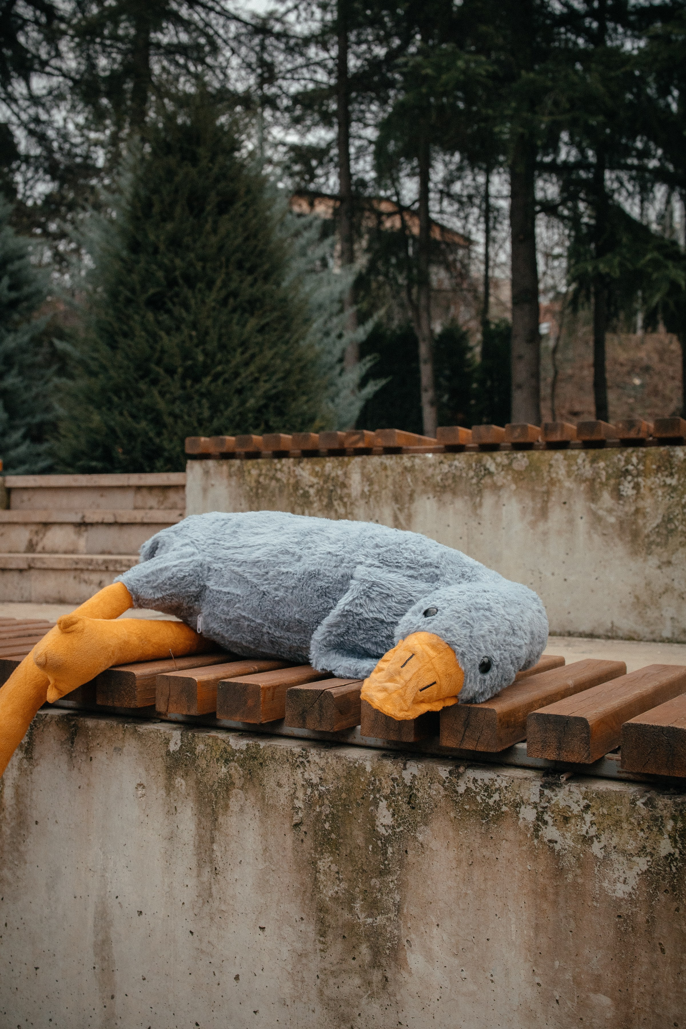 Весенняя прогулка в Тбилиси. Фотограф Наталья Гончарова. Снимаю живые портреты в Алматы