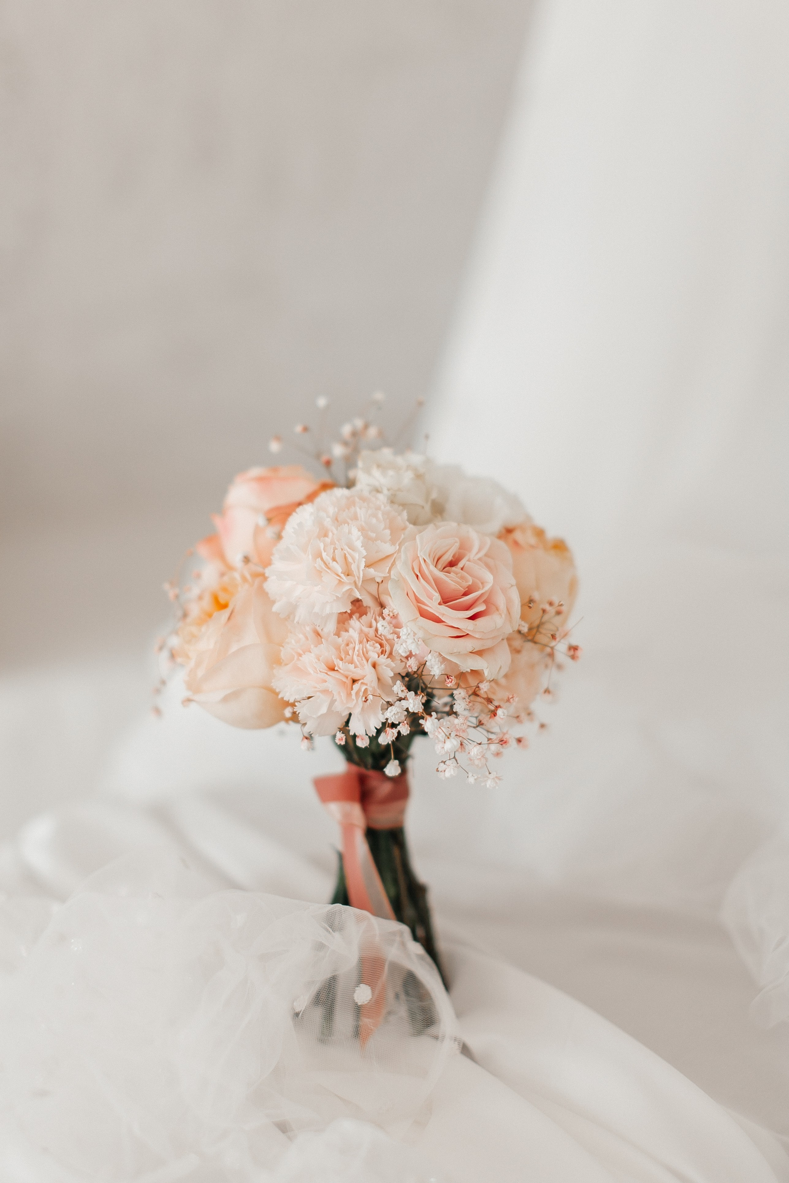 Alina. Свадебный и семейный фотограф Витебск