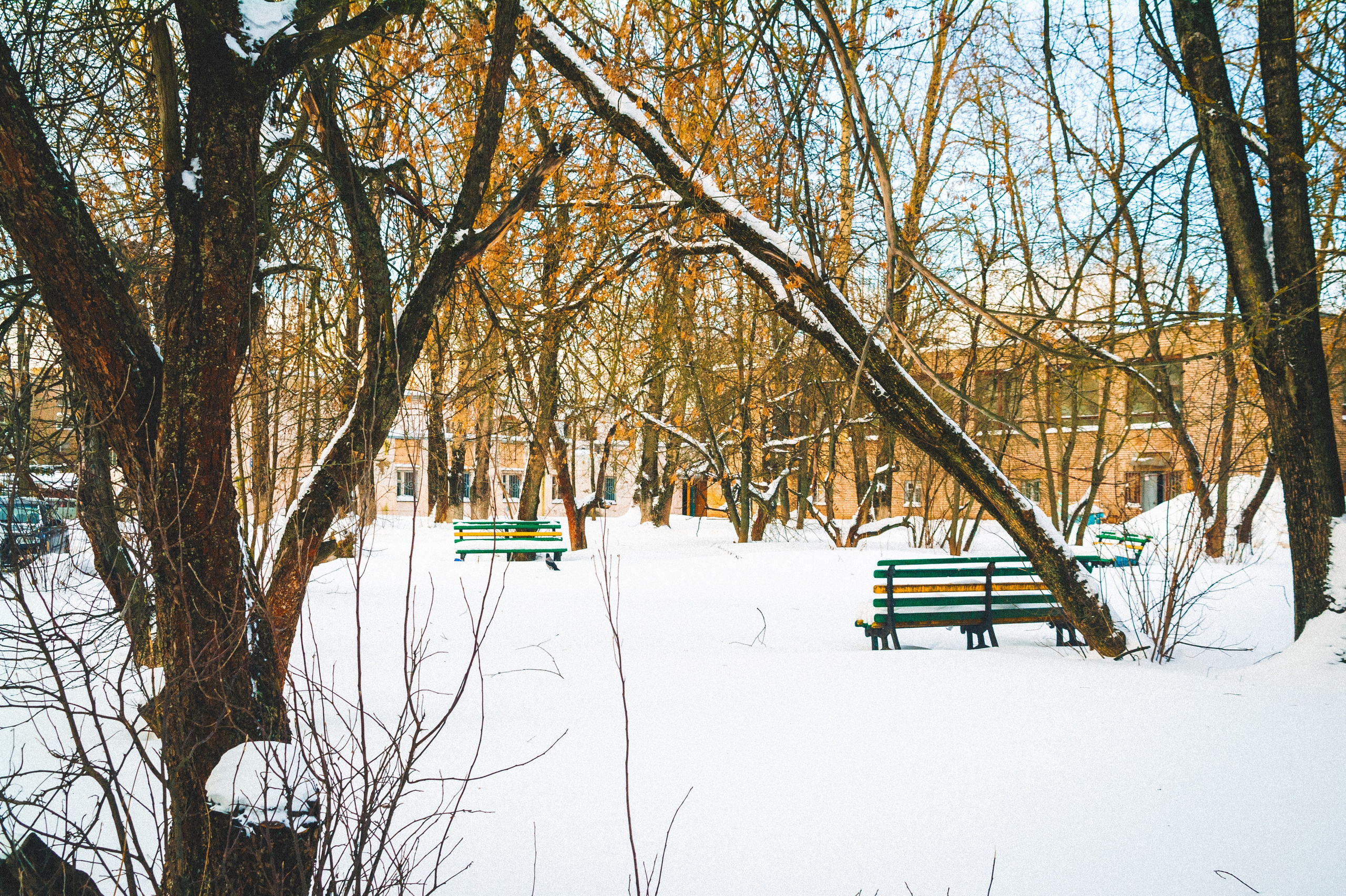 Солнечный Час. Den Mirov — Фотограф, Музыкант