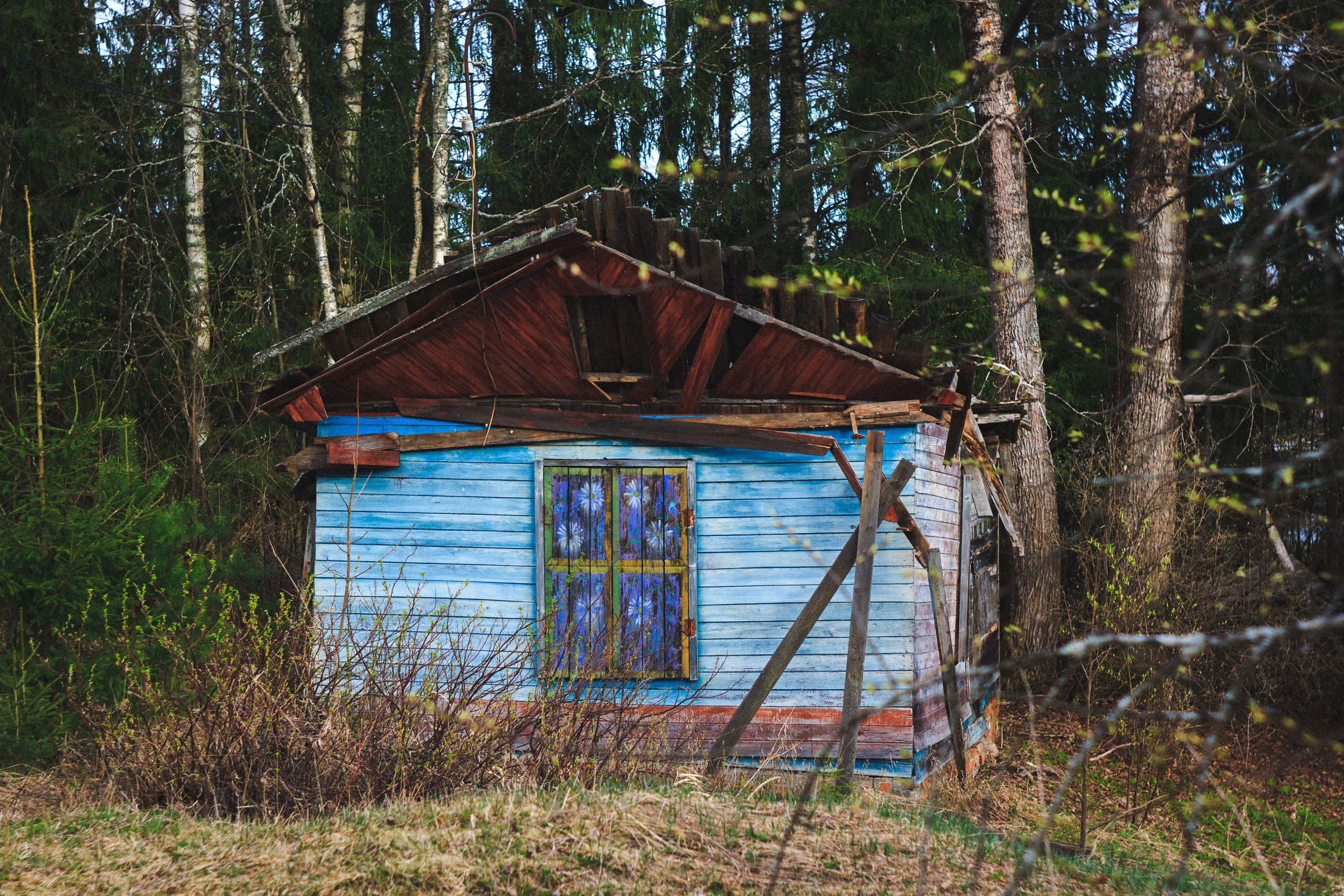 Деревня. Den Mirov — Photographer, Musician