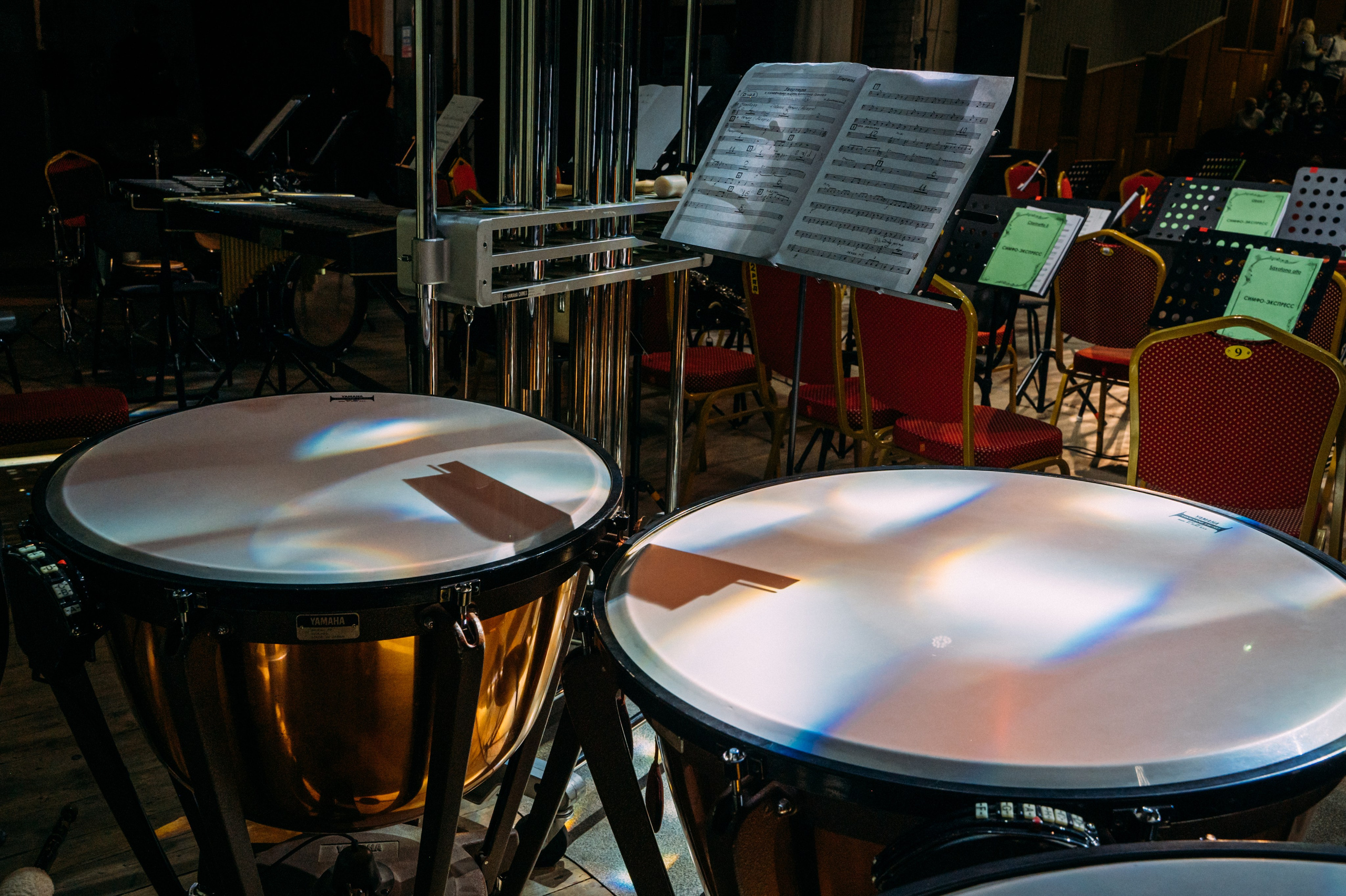 Симфонический оркестр. Фотограф в Волгограде Марина Черных