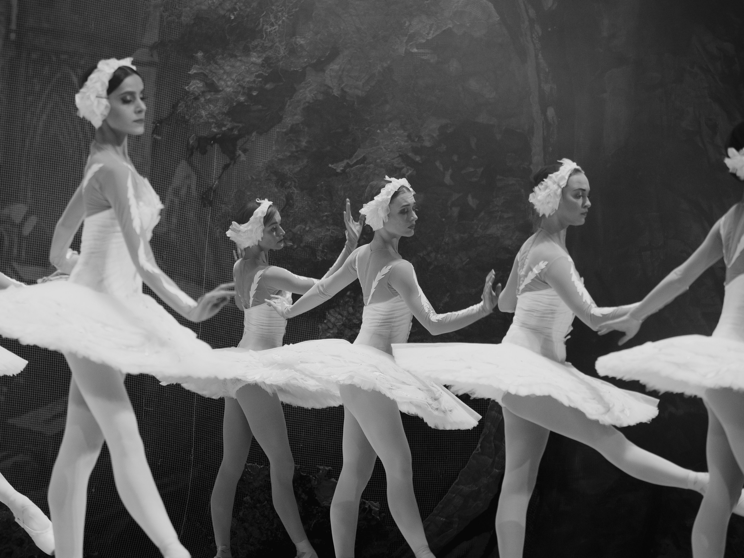 Балет «Лебединое озеро». Маруся Машкова • Фотограф в Москве