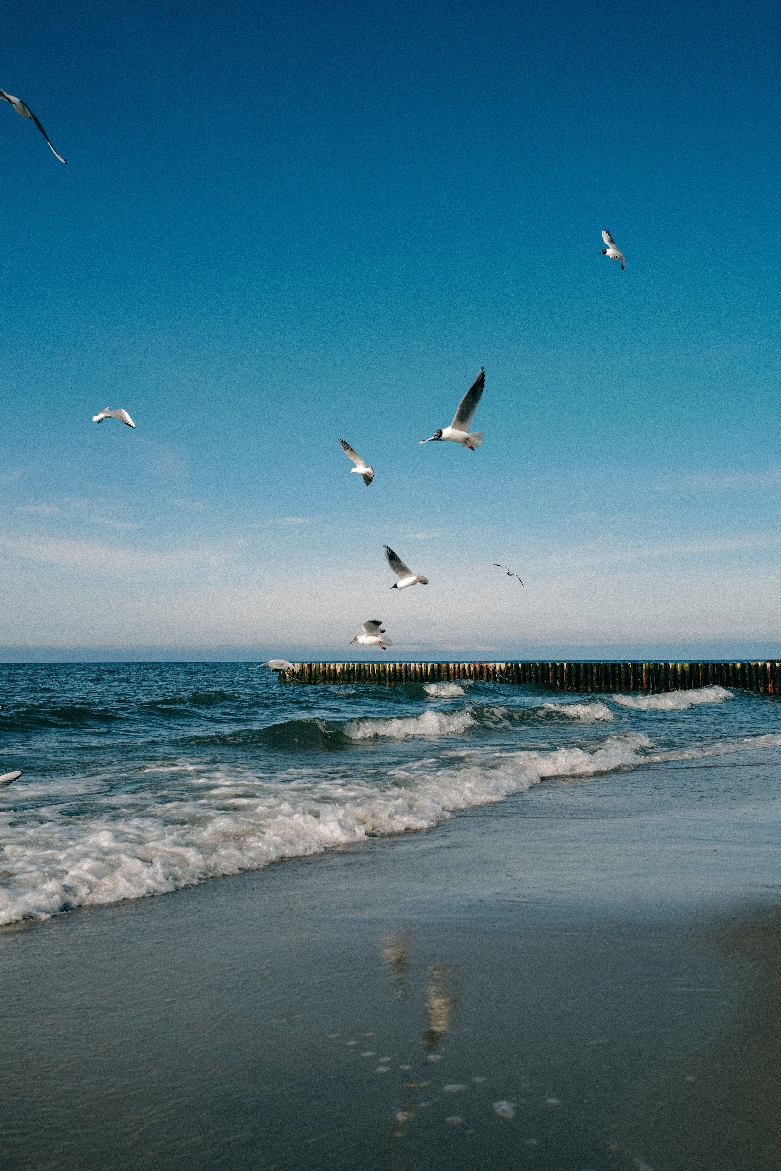 Zelenogradsk. Фотограф София Комкина