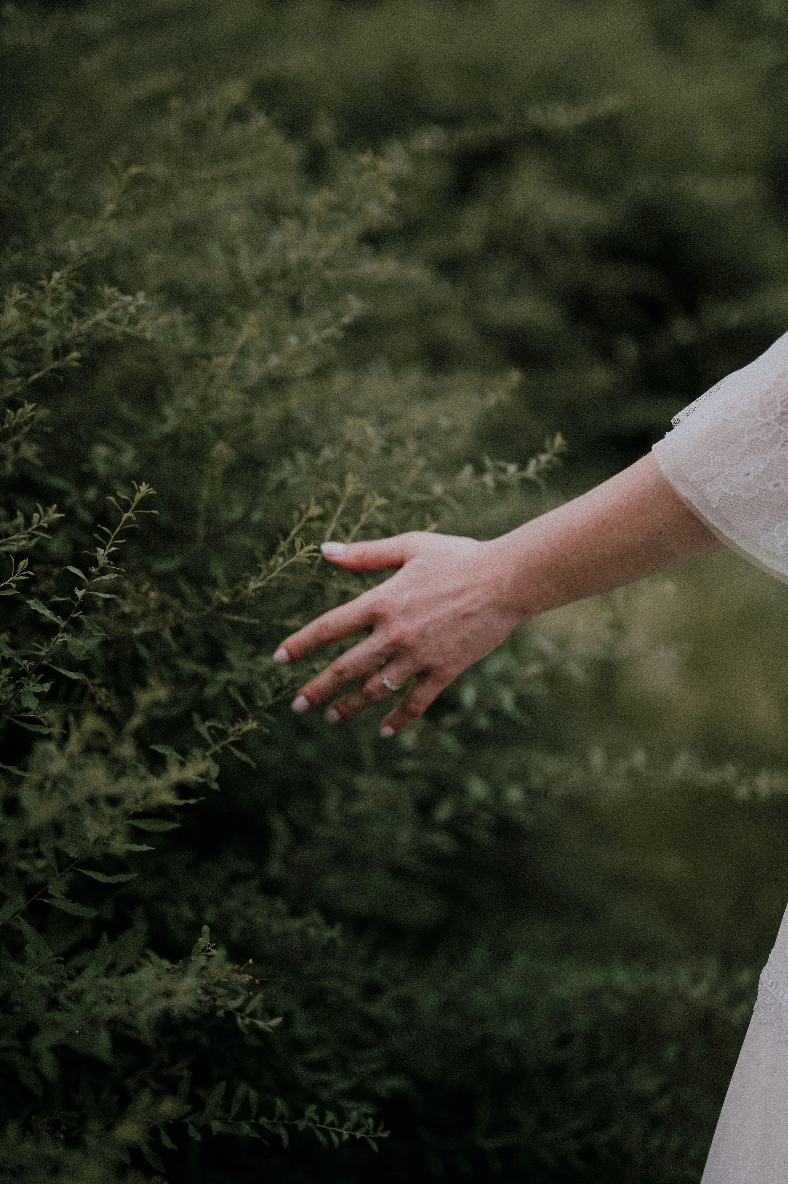 Галя и Гена. Свадебный фотограф в Москве и Ярославле Павел Кандауров