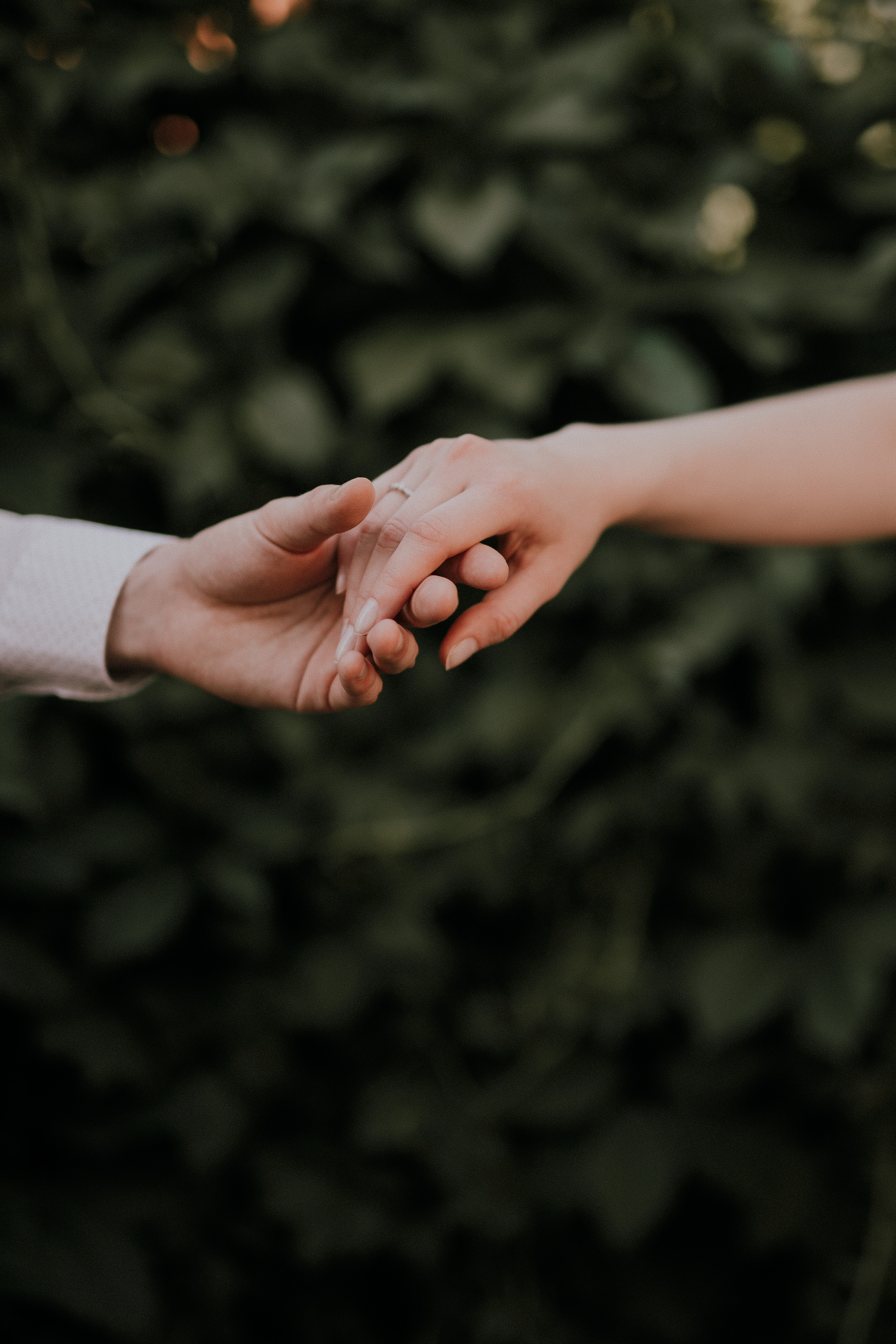 Лера и Даня лавстори. Свадебный фотограф в Москве и Ярославле Павел Кандауров