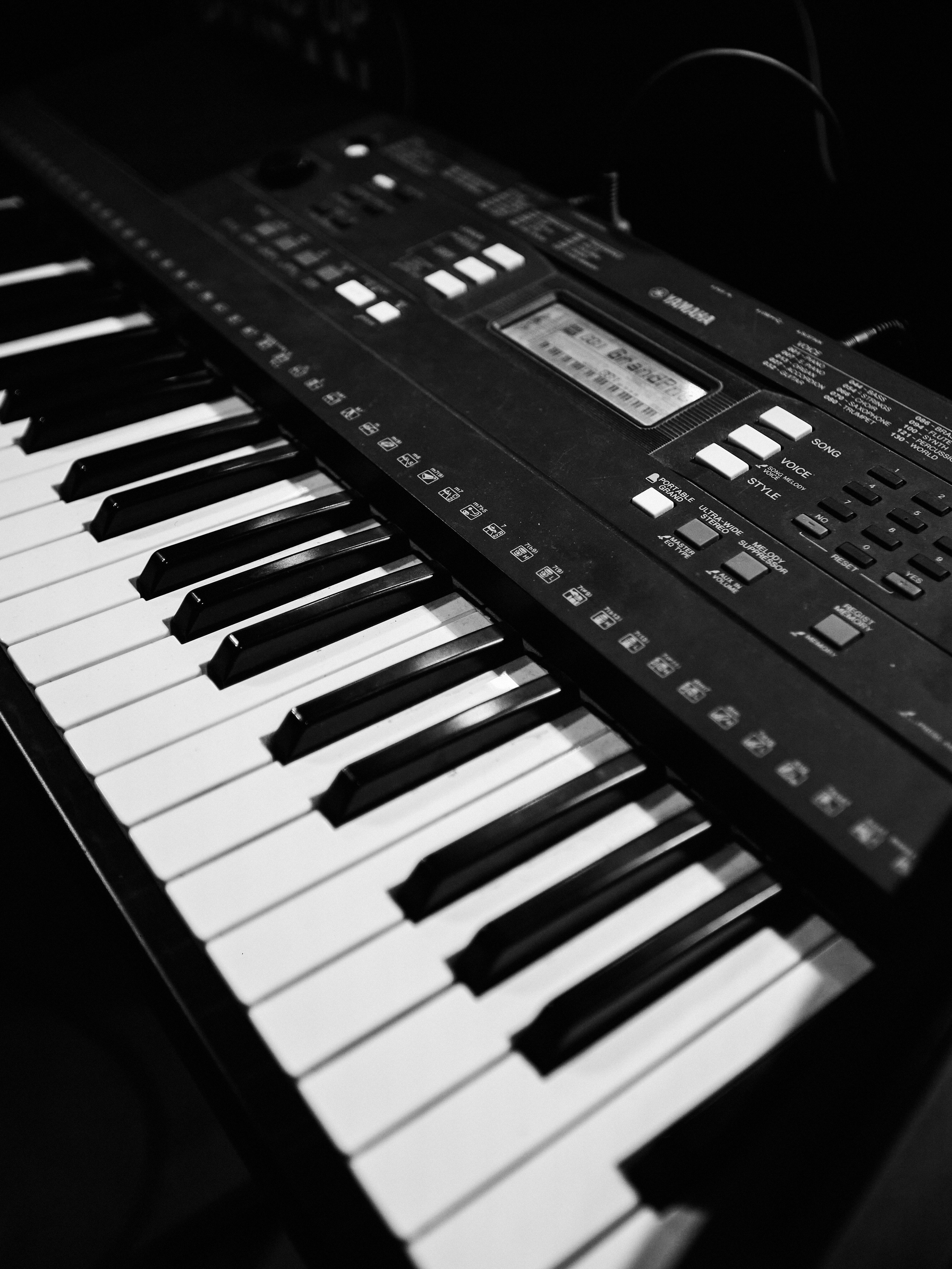 День рождения группы «Желчь». Фотограф Юлия Маринина