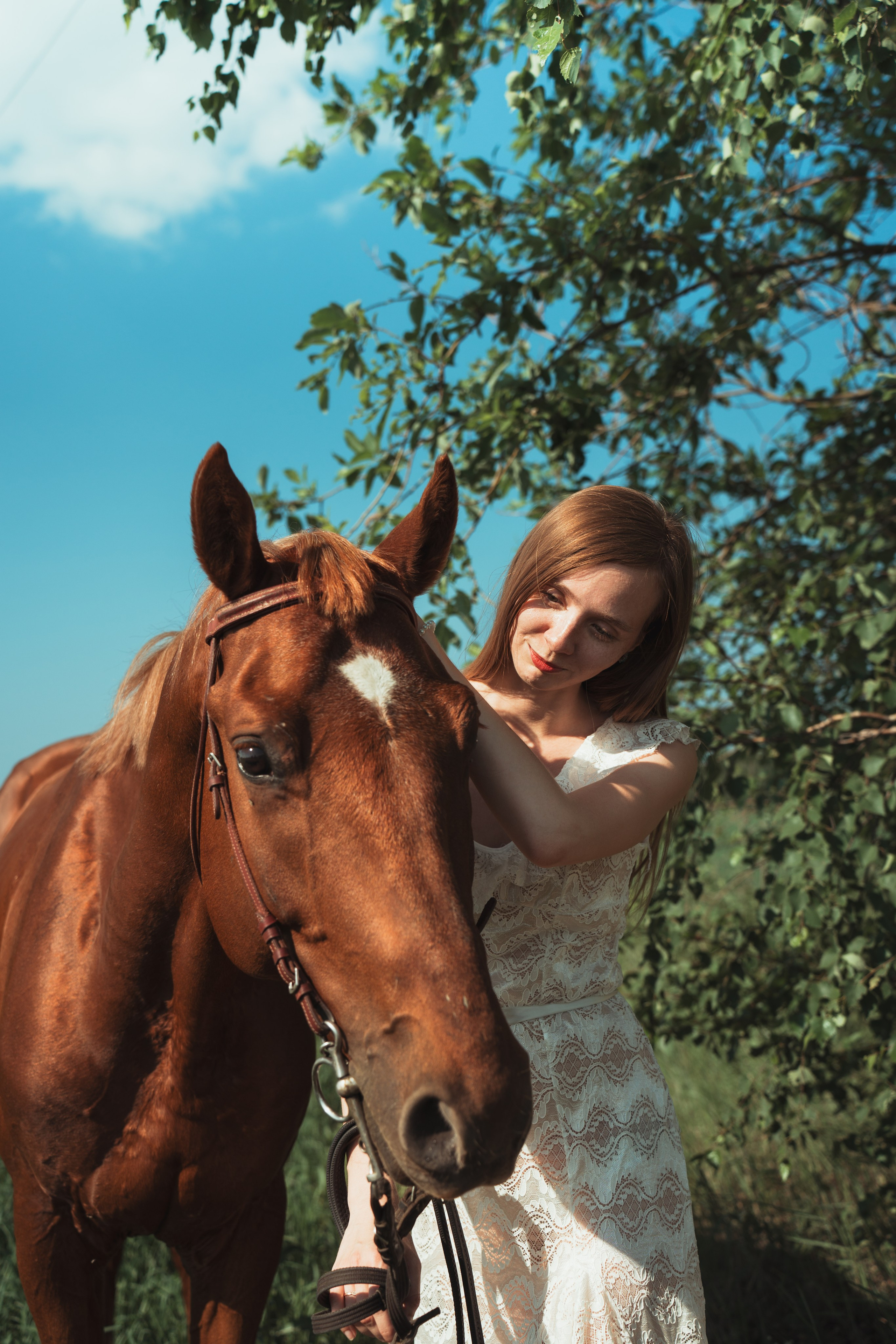 Фотосессия с конем. Портретный фотограф в Москве — Вадим Галанин